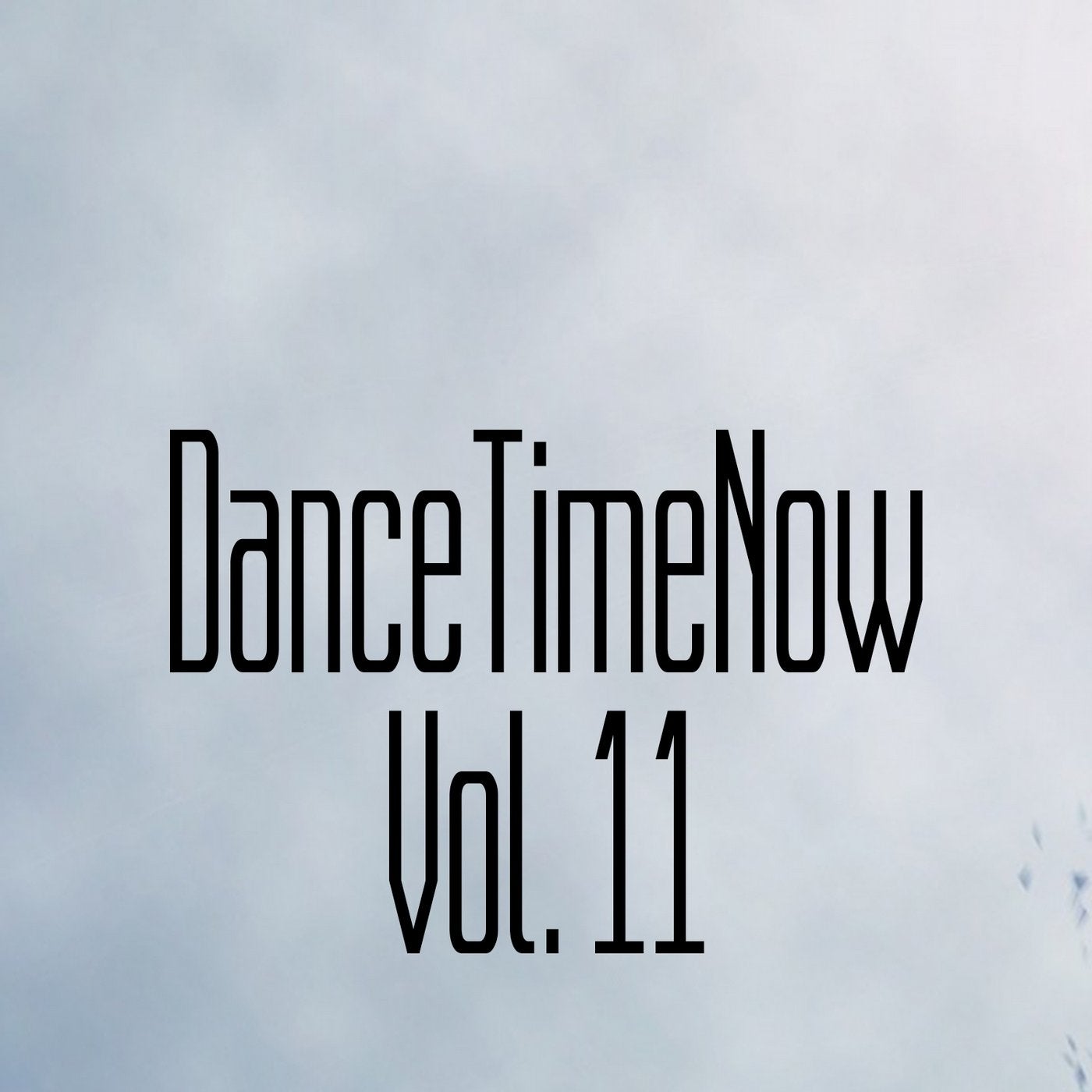 DanceTimeNow, Vol. 11