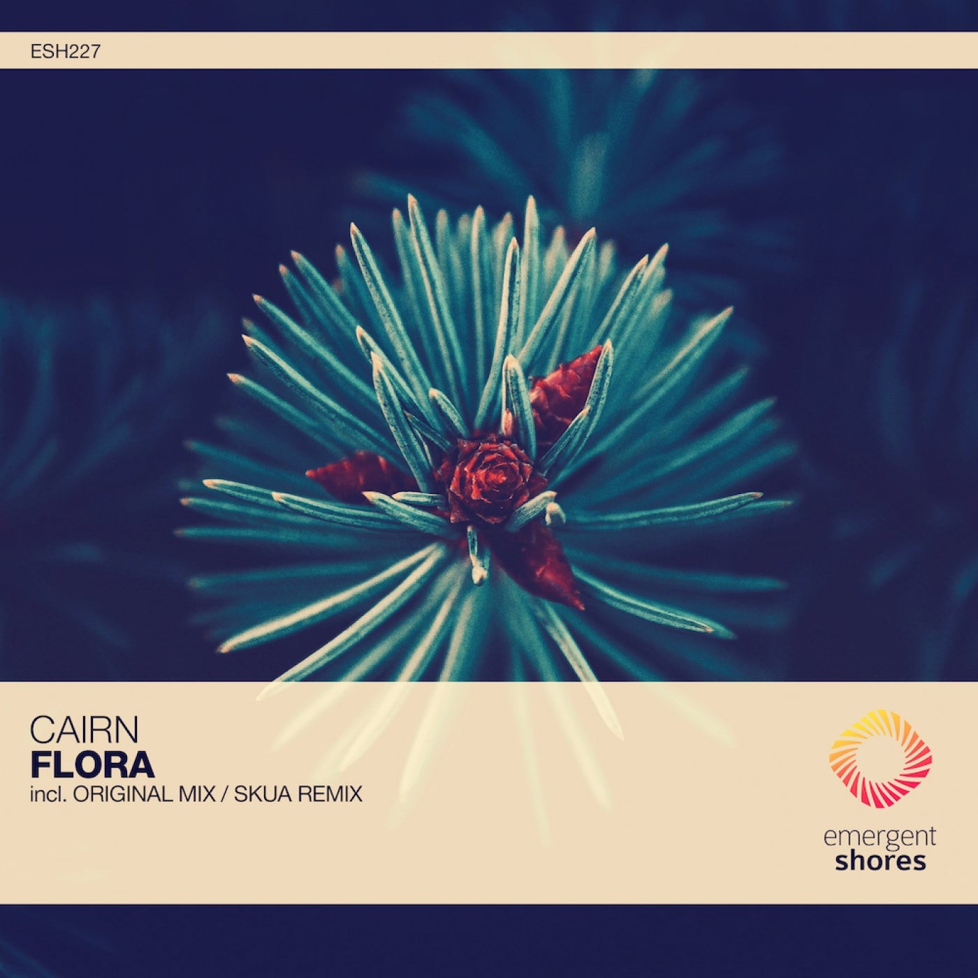 Flora