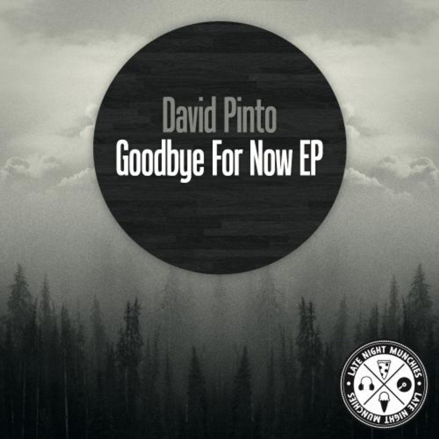 Goodbye For Now EP