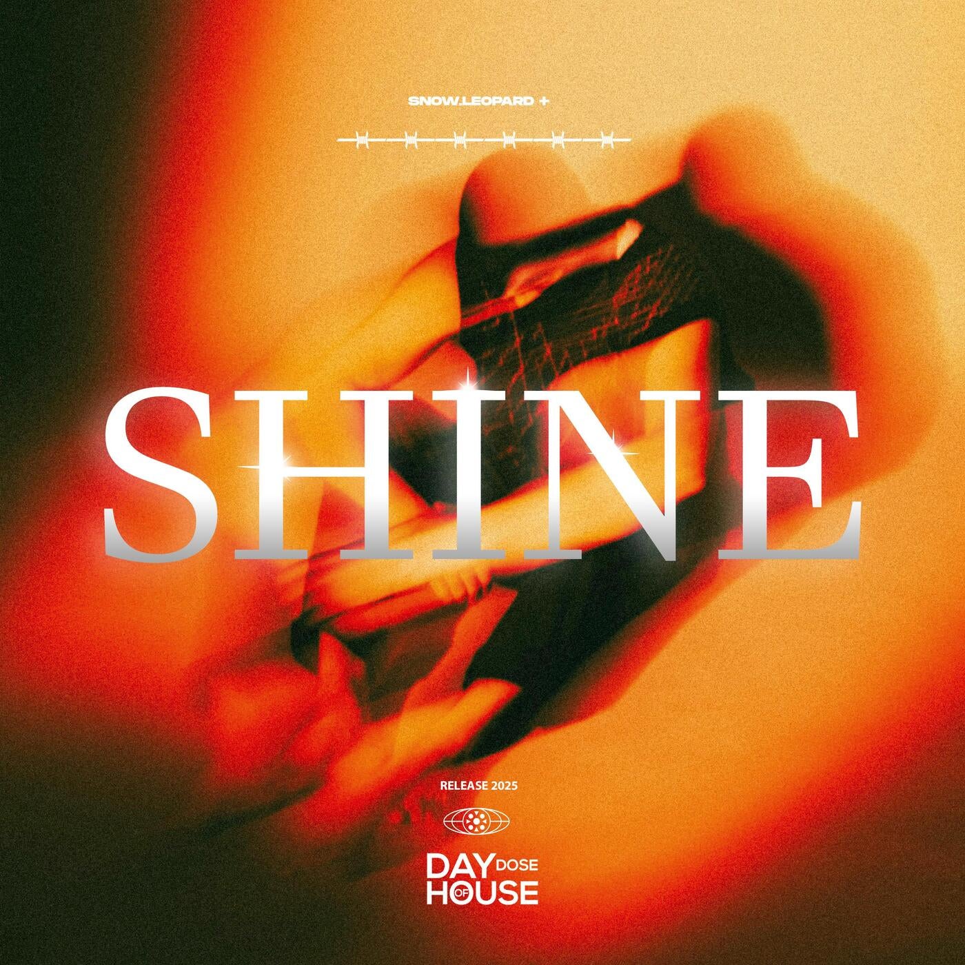 Cover art for Shine