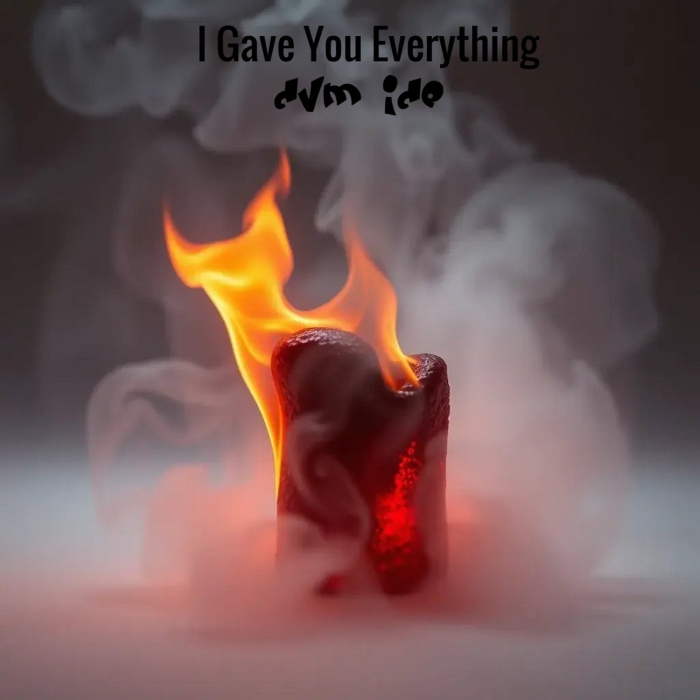 I Gave You Everything