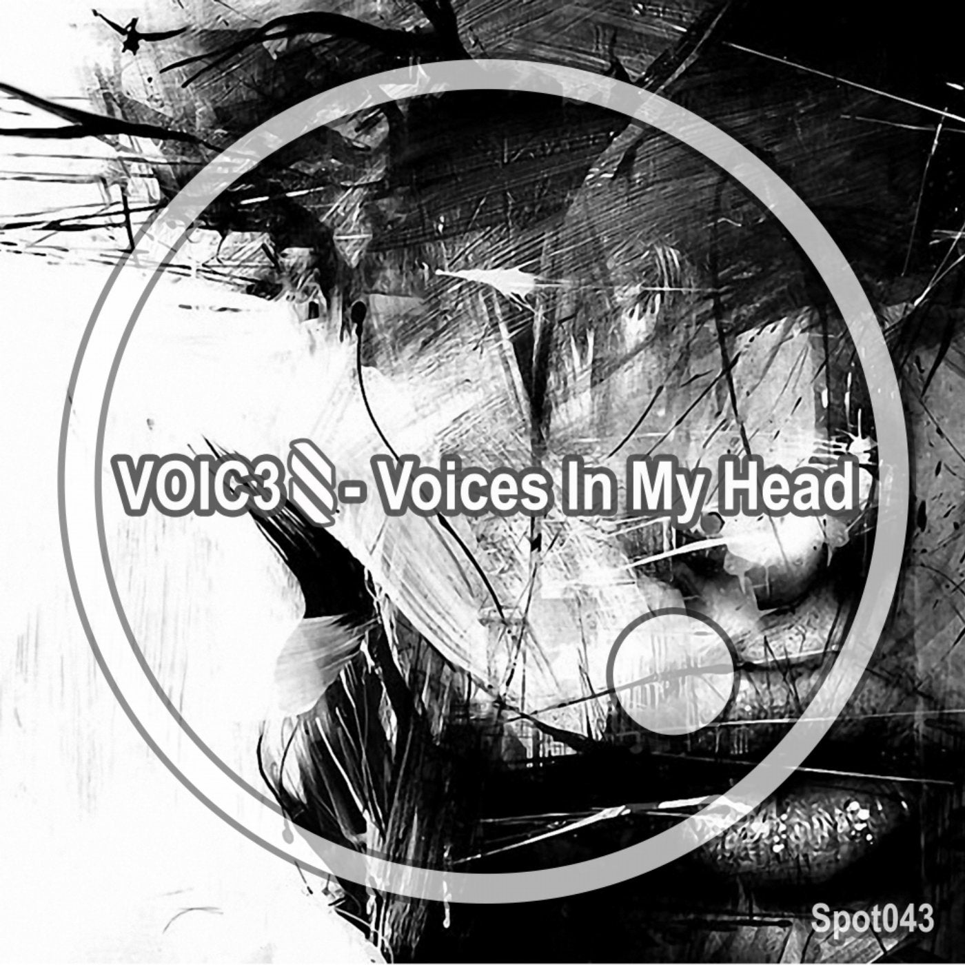 Voices In My Head