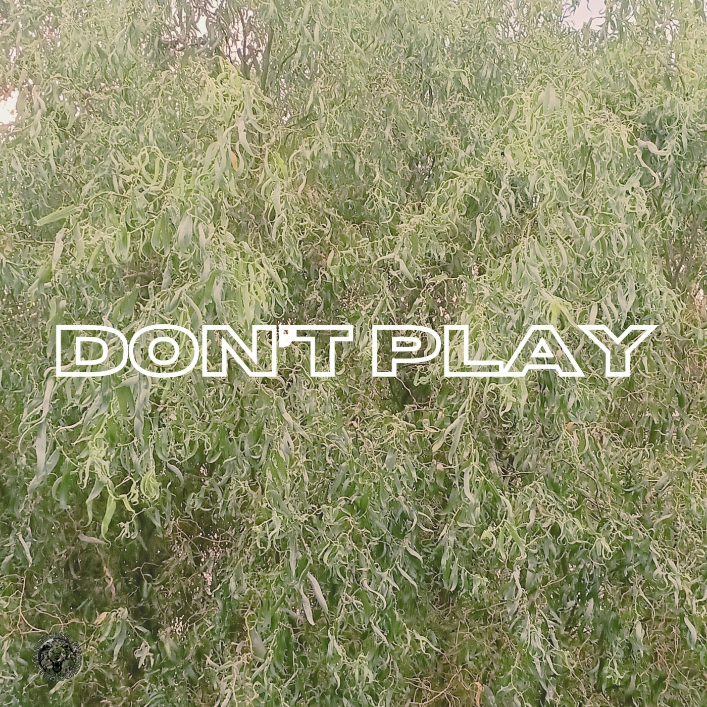 Don't Play