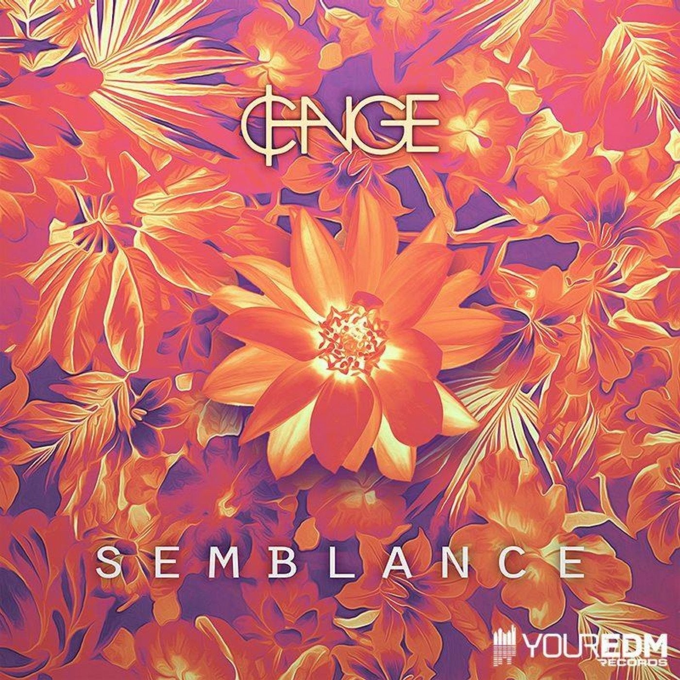 Semblance