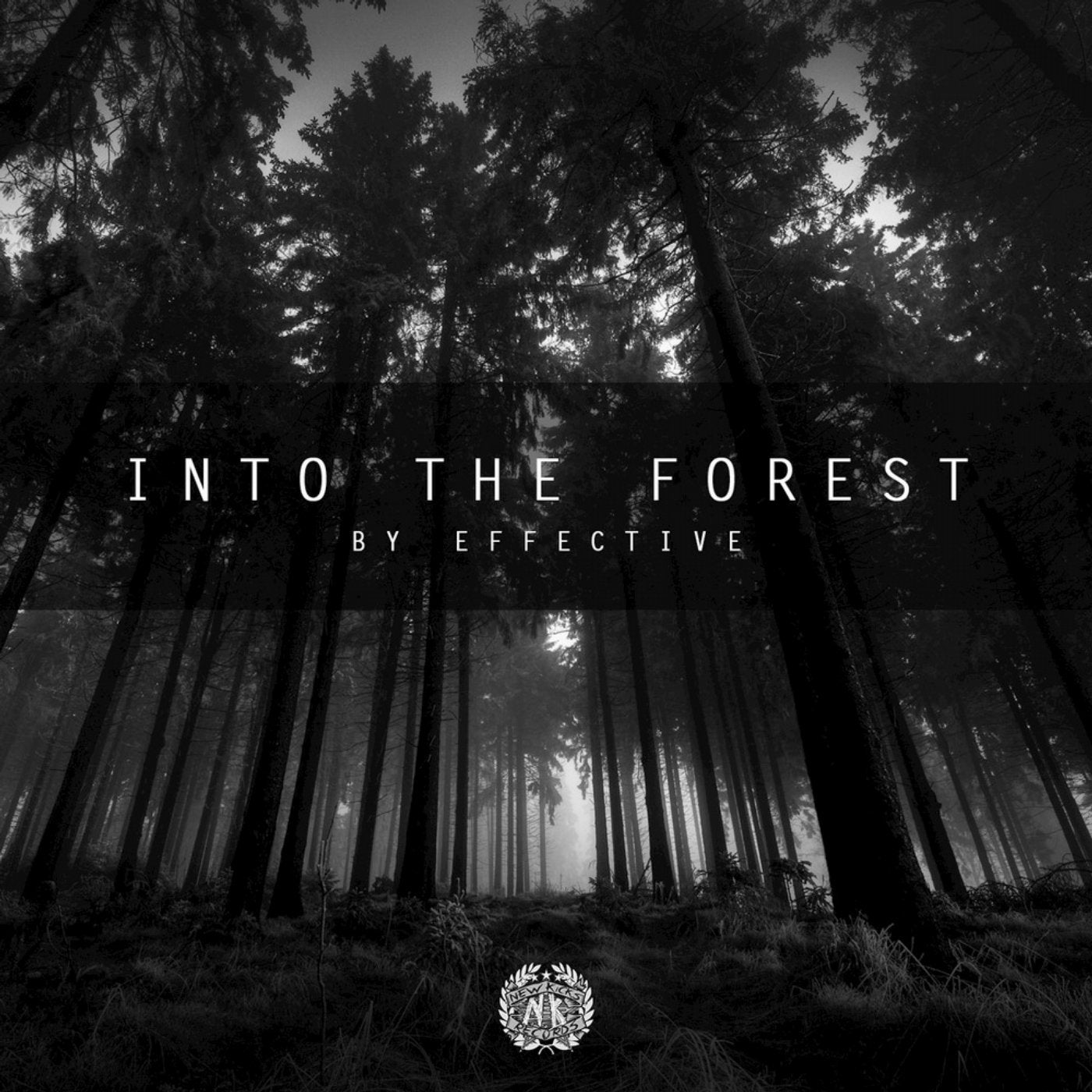 Into The Forest