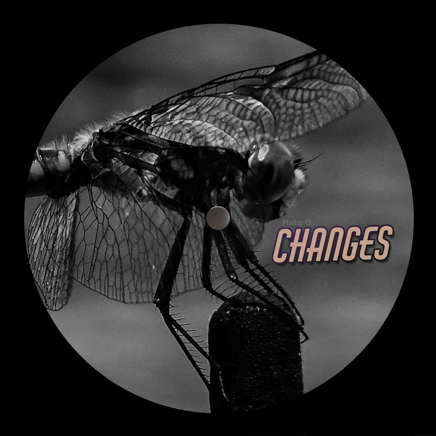 Cover art for Changes