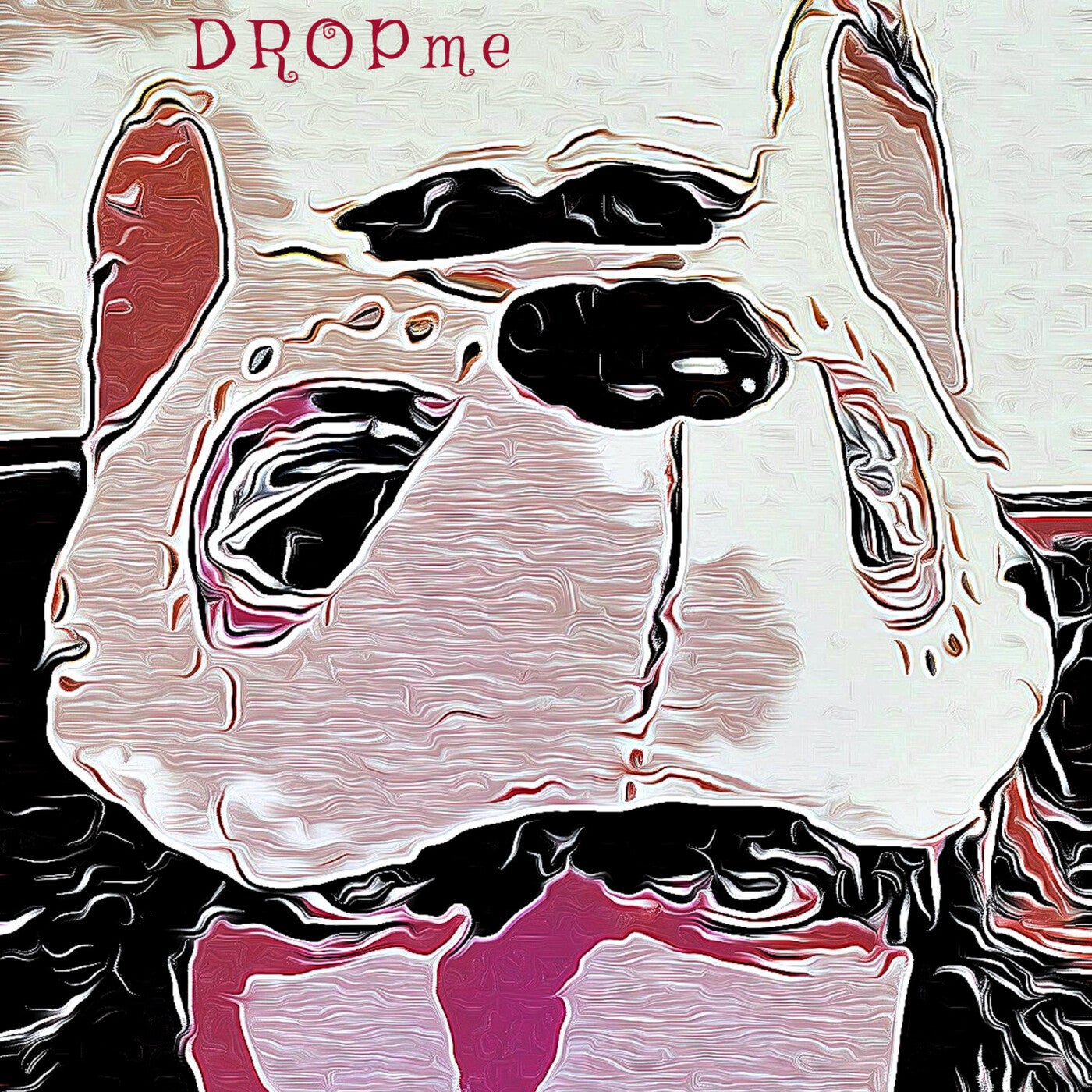 Drop me