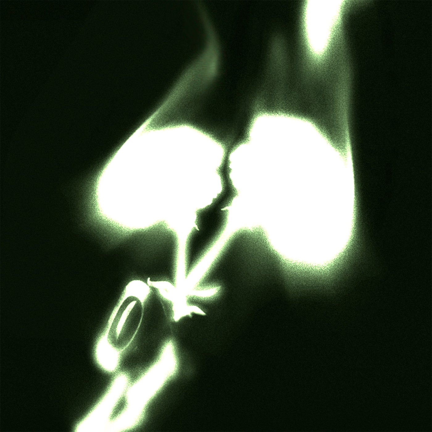 Cover art for ESTA REIN4 clvb