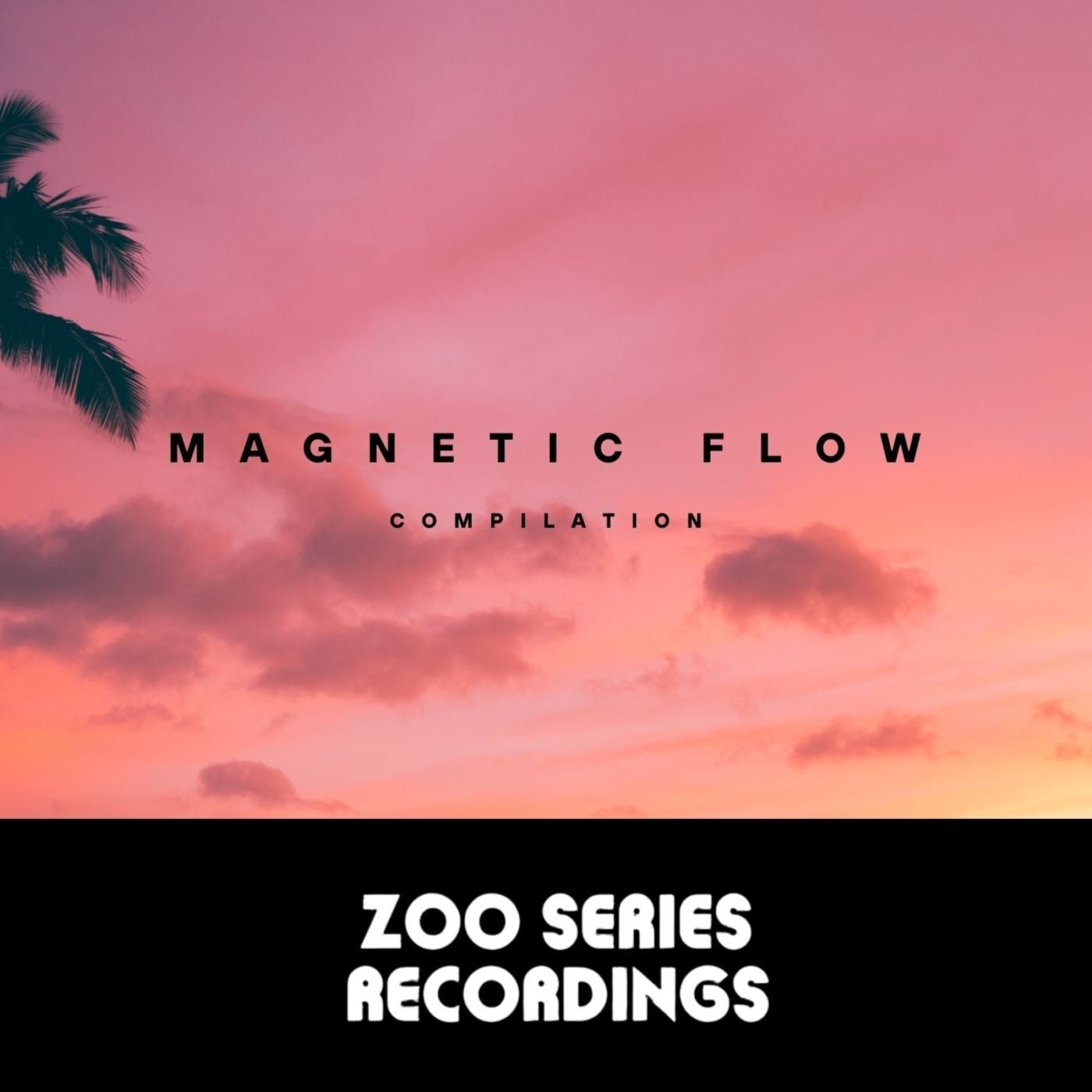 Magnetic Flow