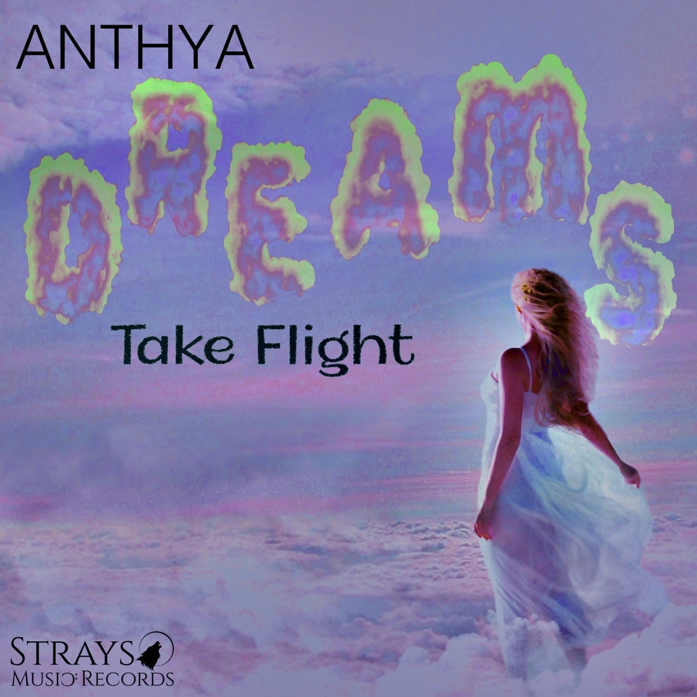 Dreams Take Flight