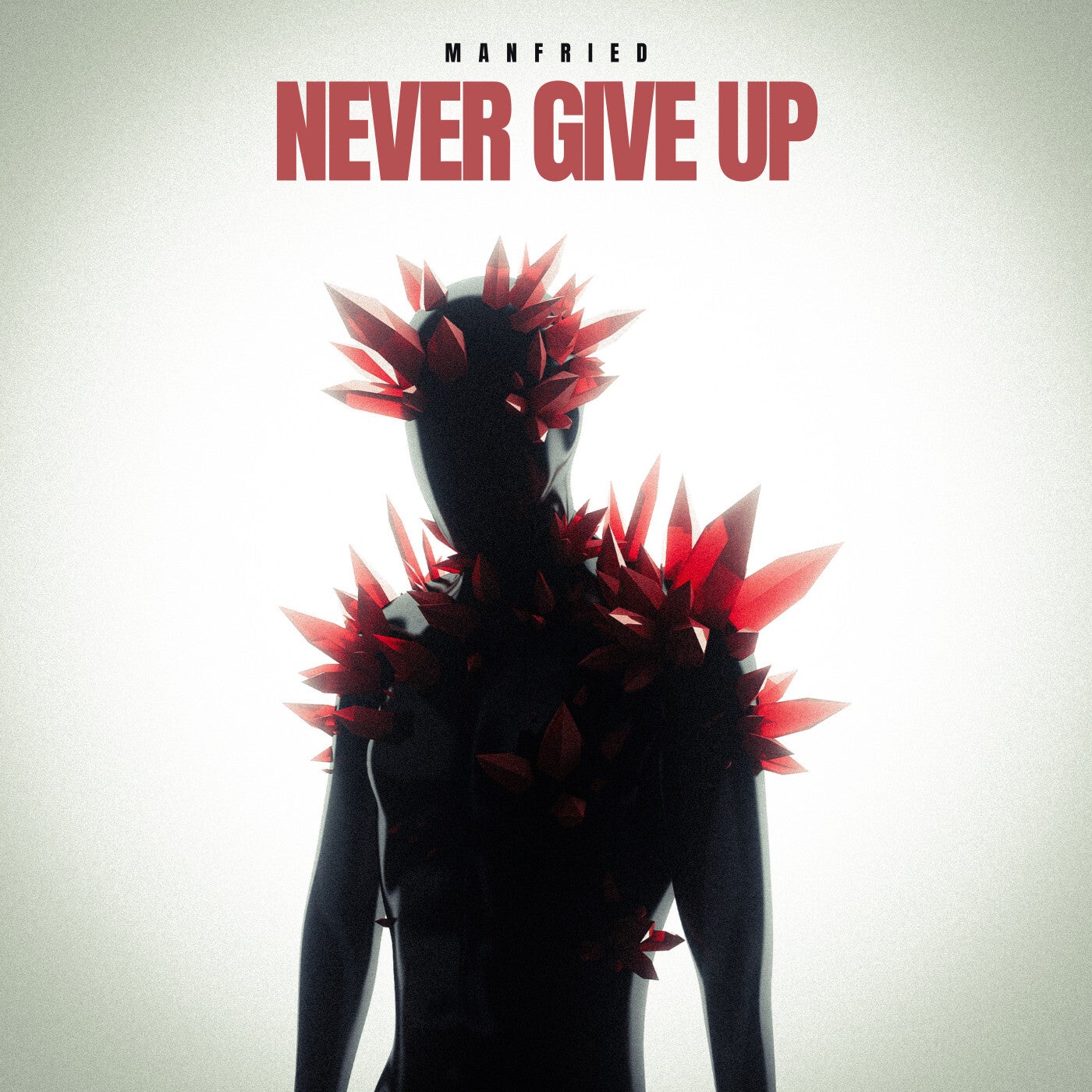Never Give Up