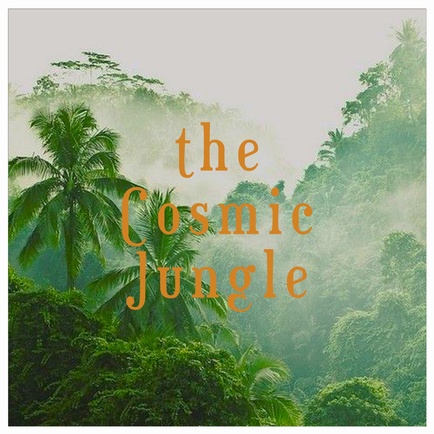 Cover art for The Cosmic Jungle