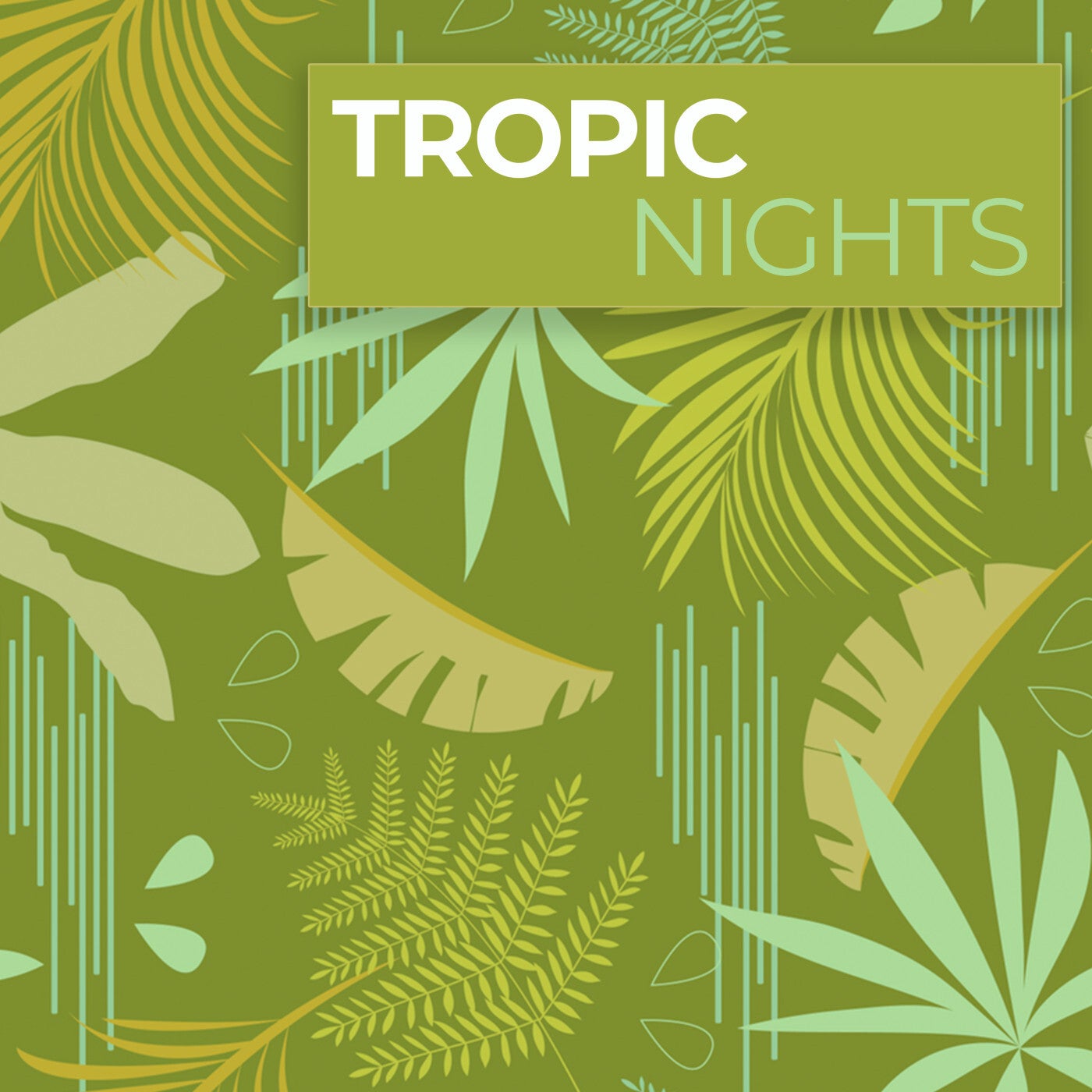 Tropic Nights