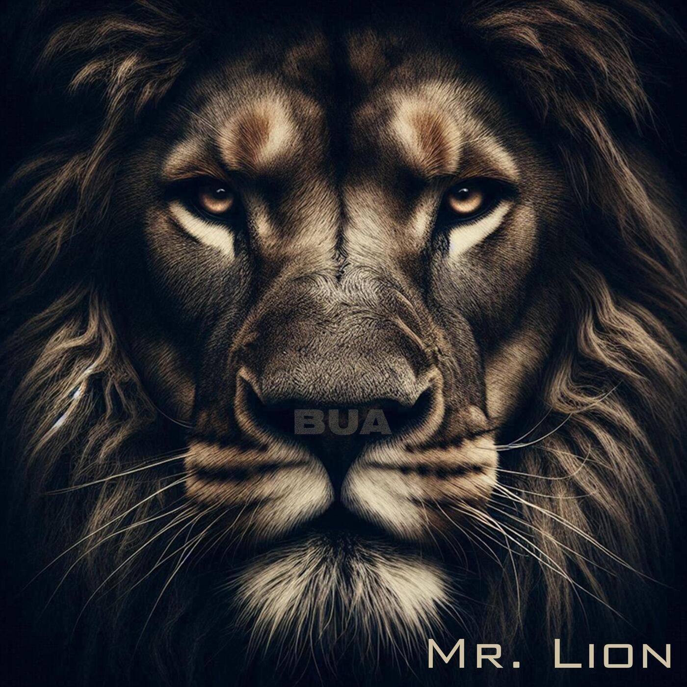 Mr. Lion