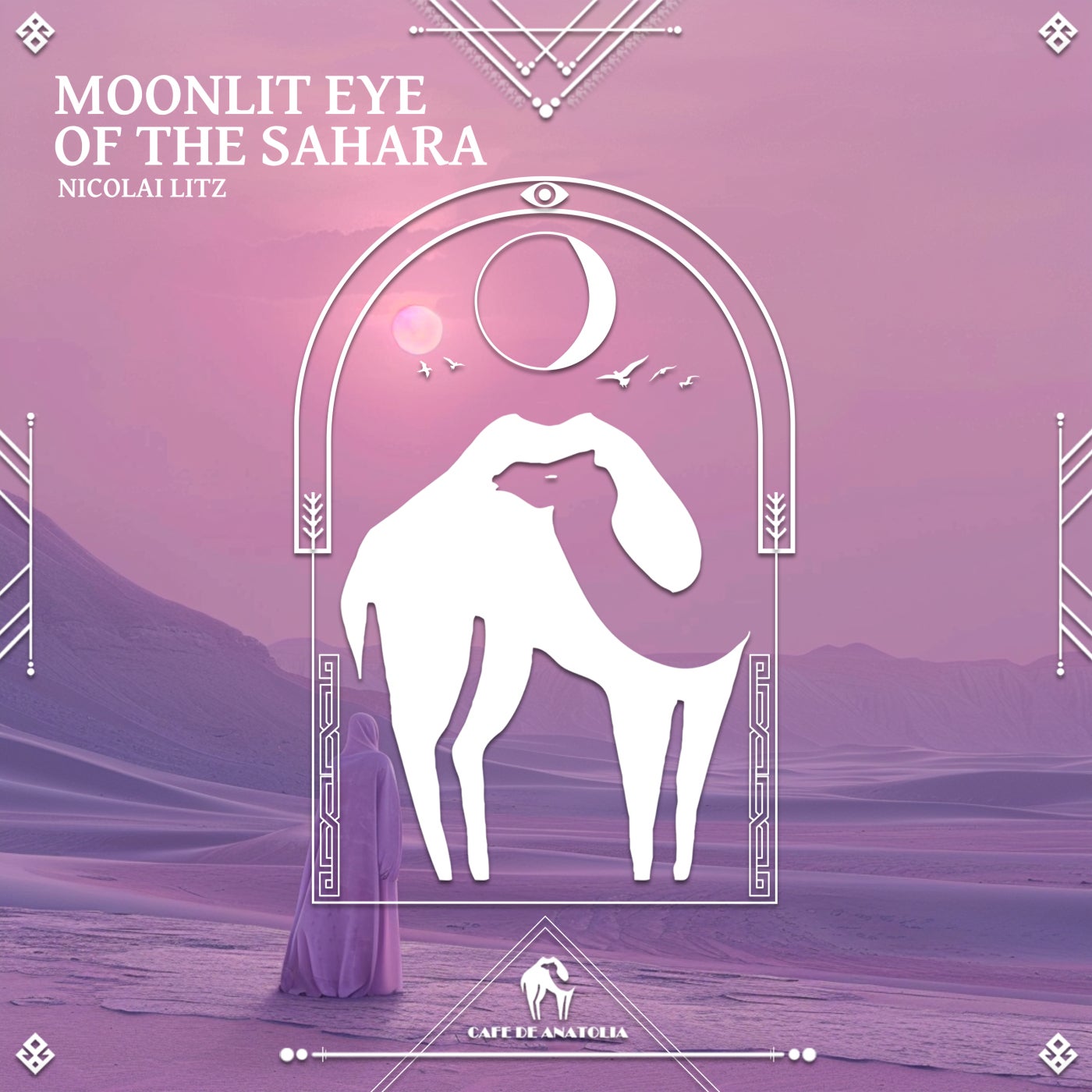 Moonlit Eye of the Sahara