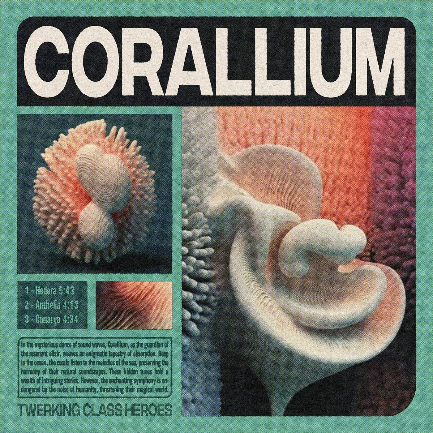 Corallium