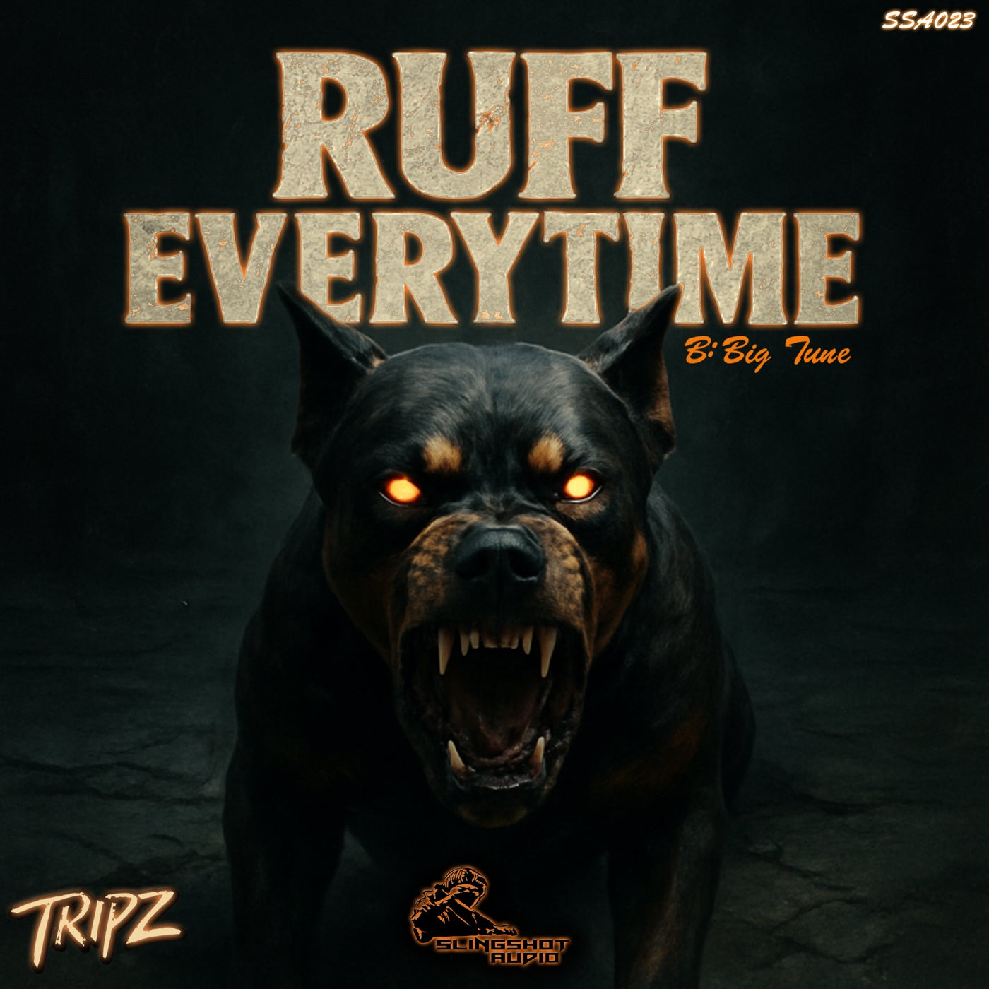 Ruff Everytime / Big Tune