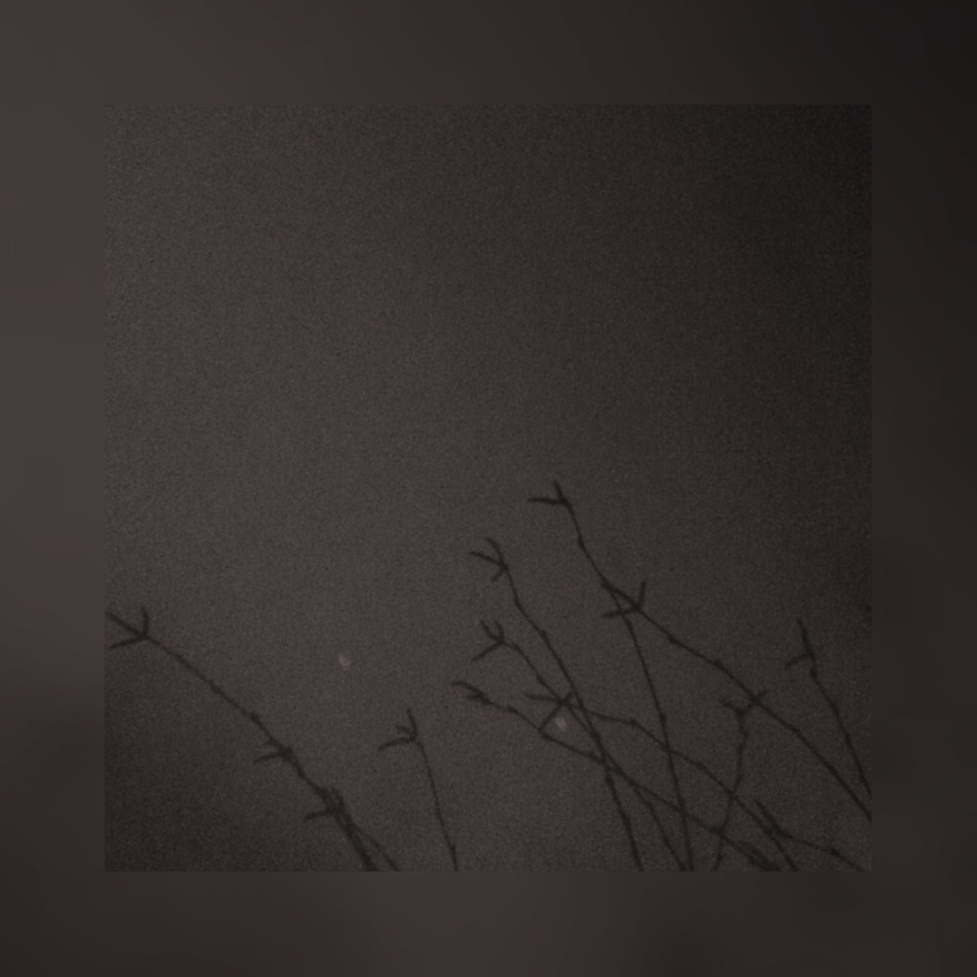 Night - EP