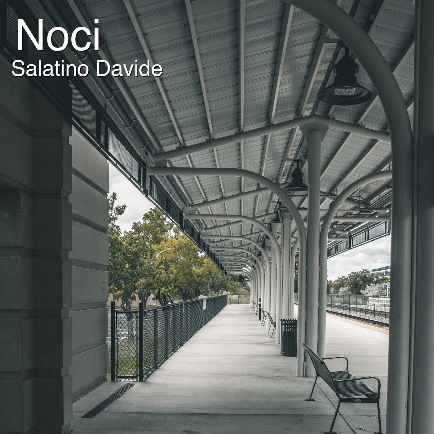 Noci