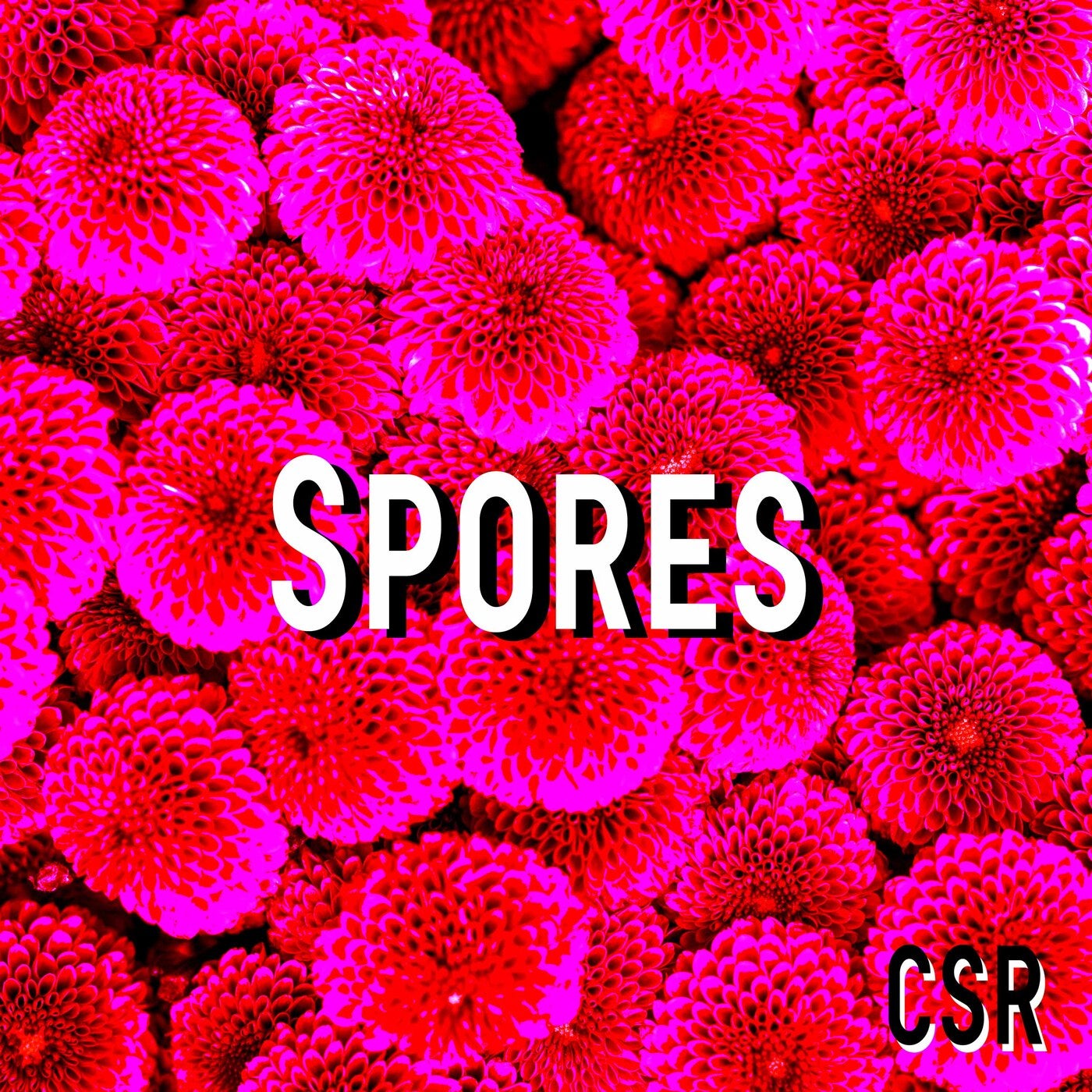 Spores