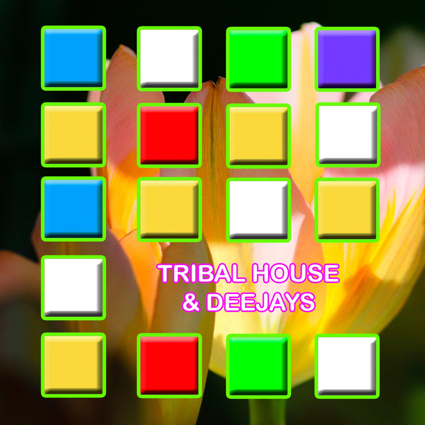 Tribal House & Deejays