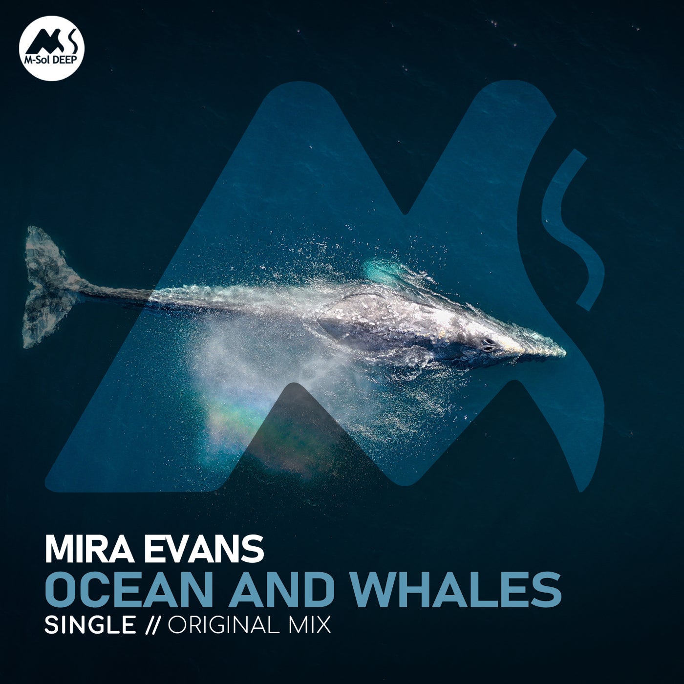 Ocean and Whales