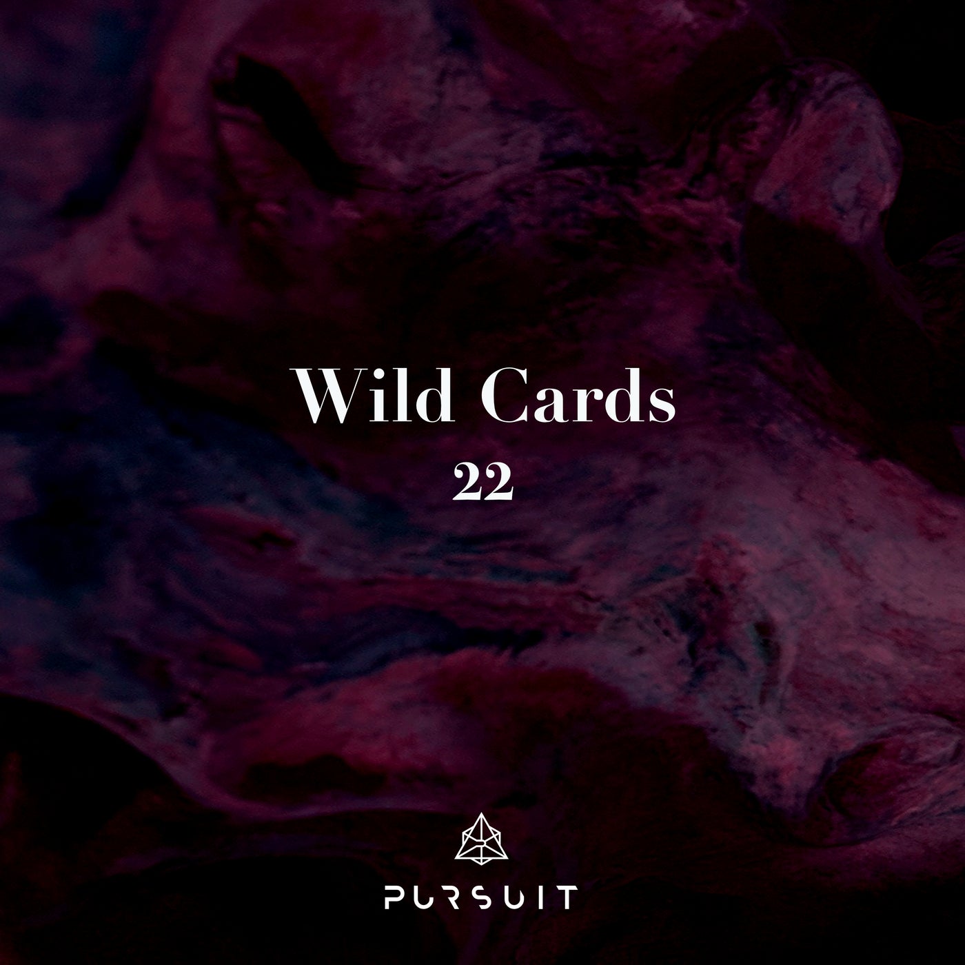Wild Cards 22