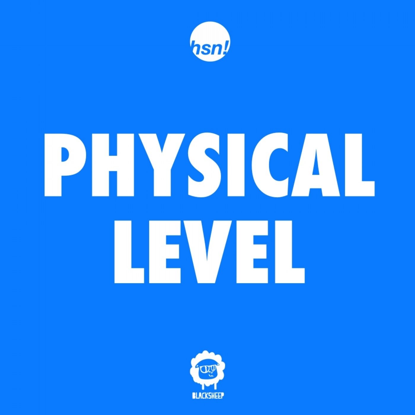 Physical Level