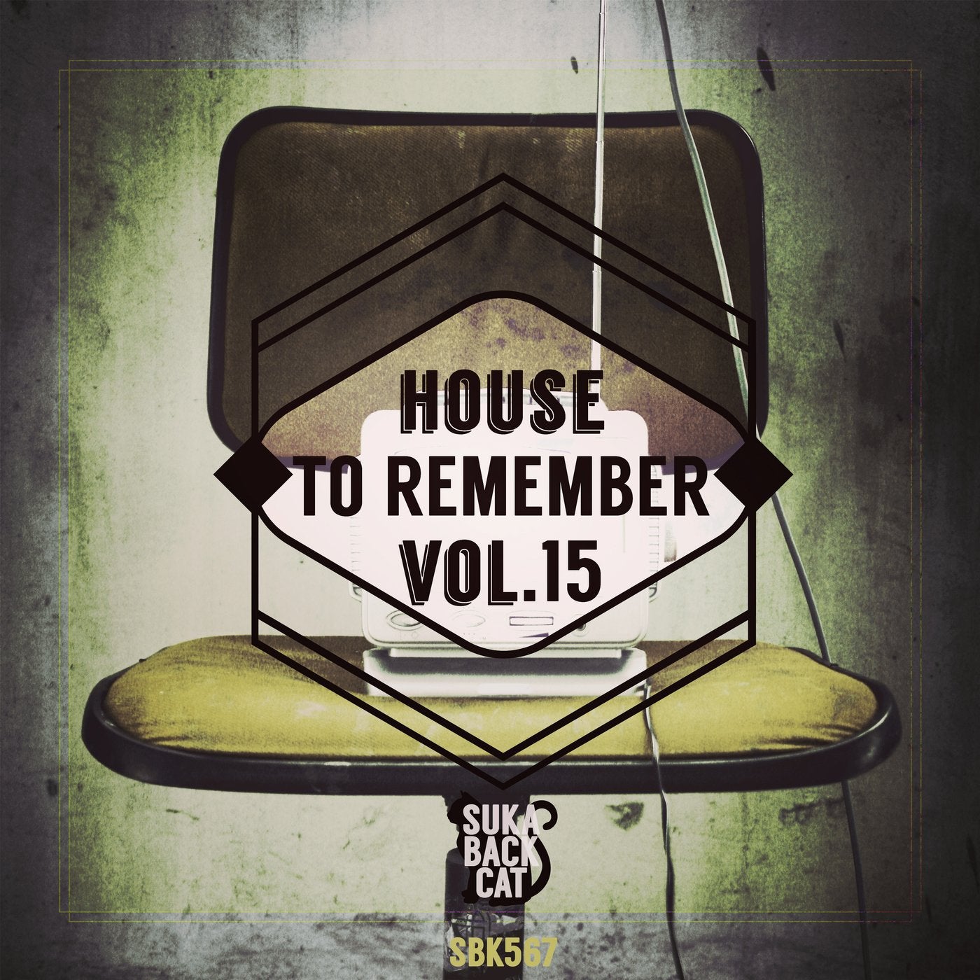 House To Remember, Vol. 15