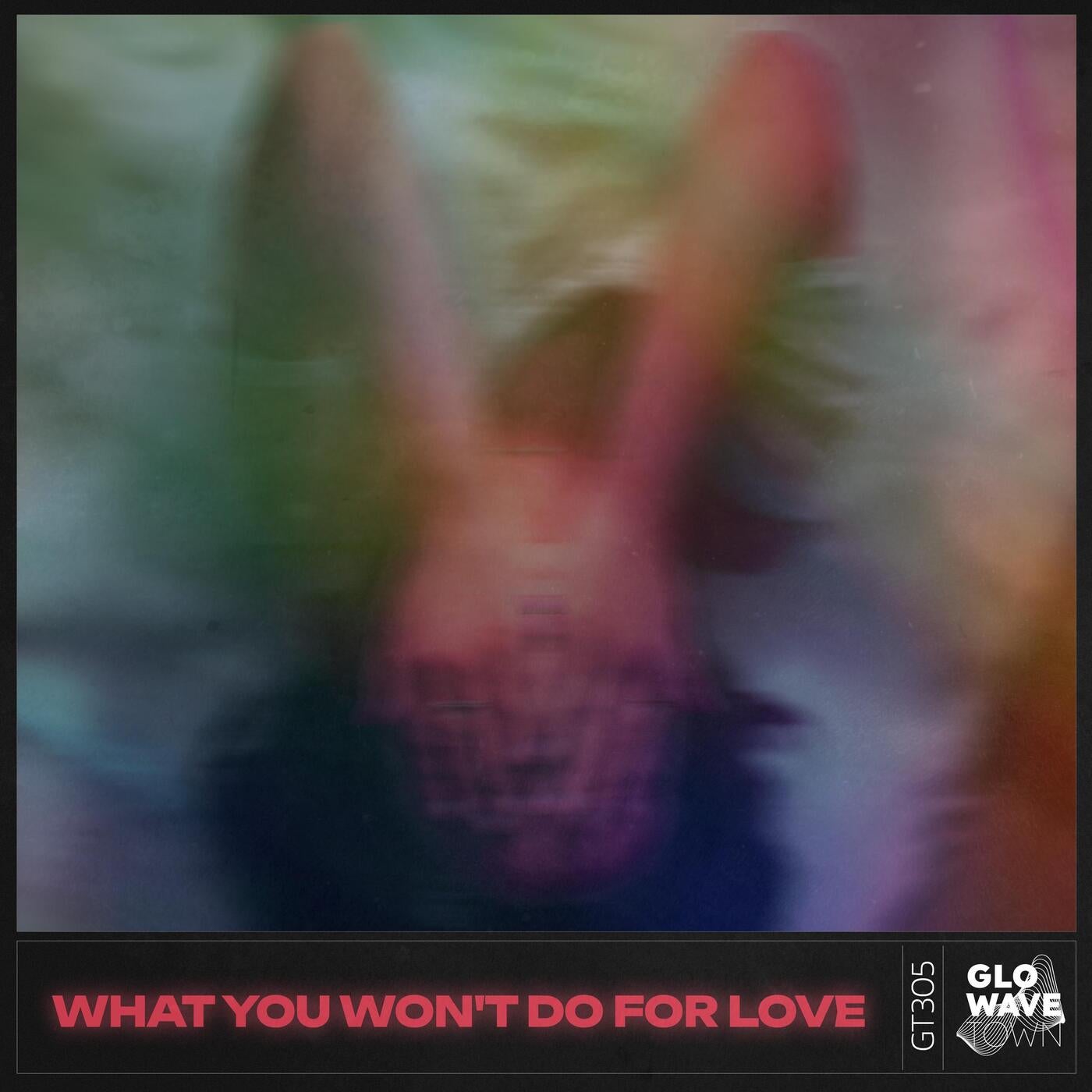 What You Won't Do For Love