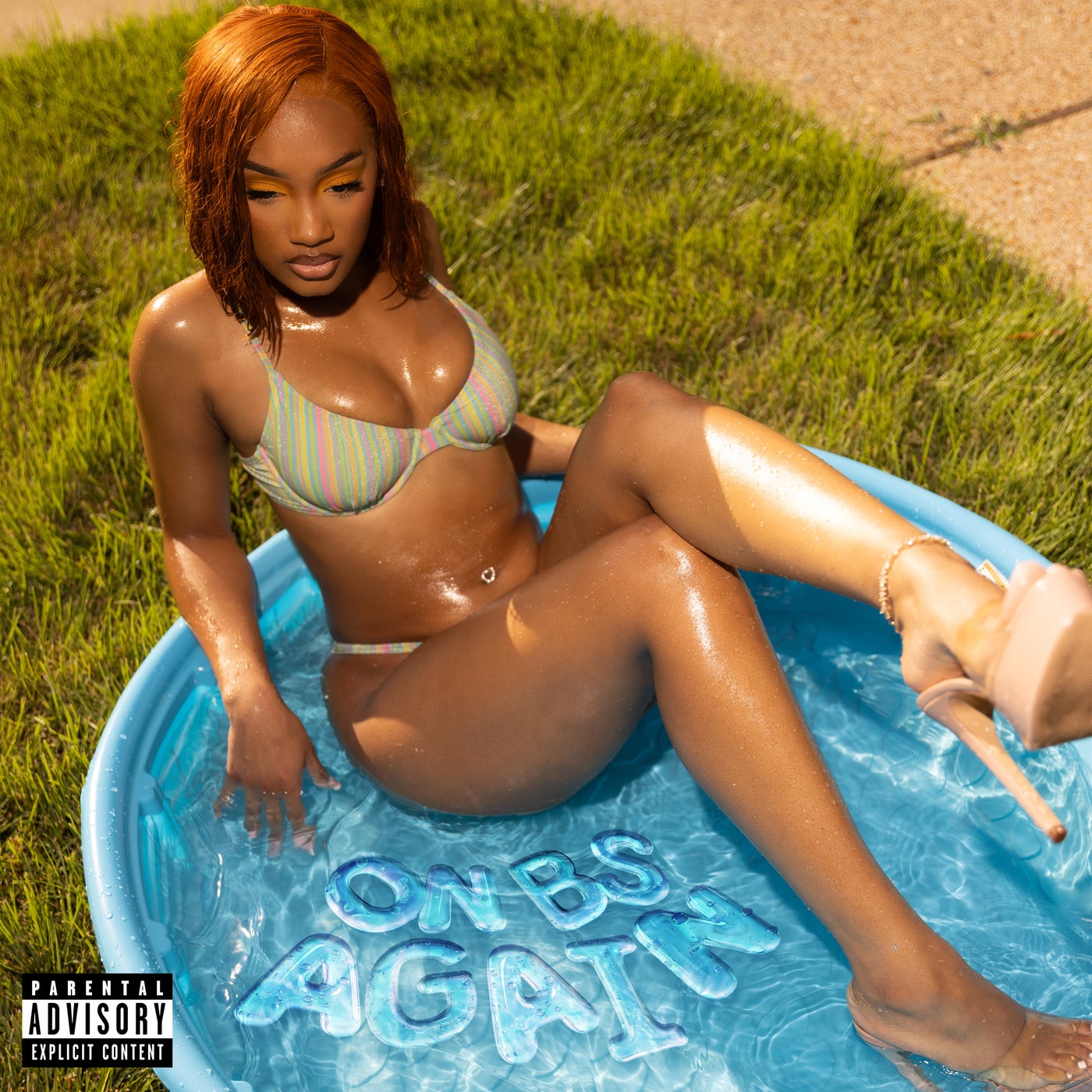 Cover art for On BS Again