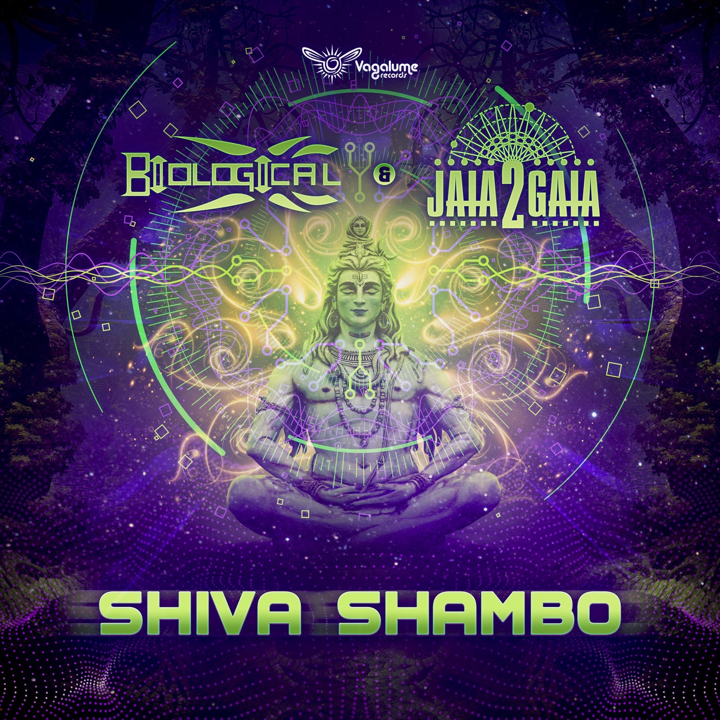 Shiva Shambo