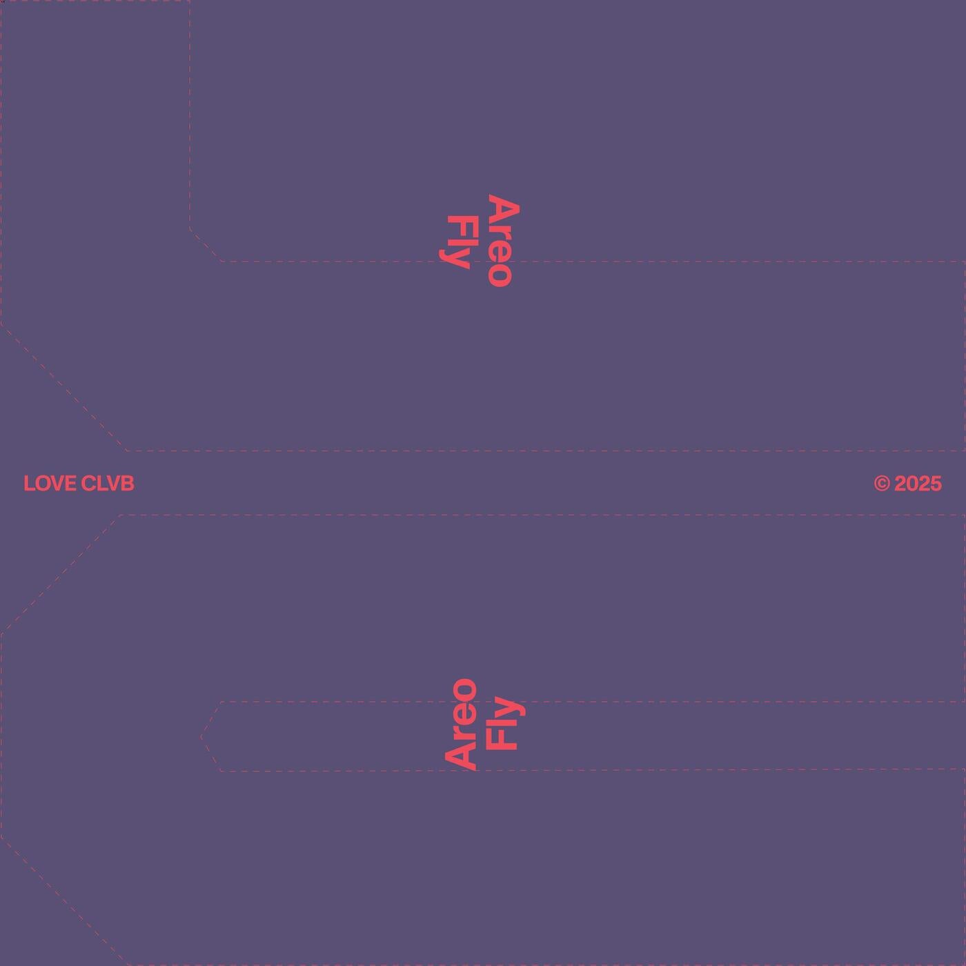 FLY (Extended)