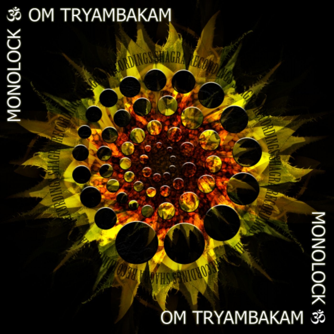 Om Trayam Bakam