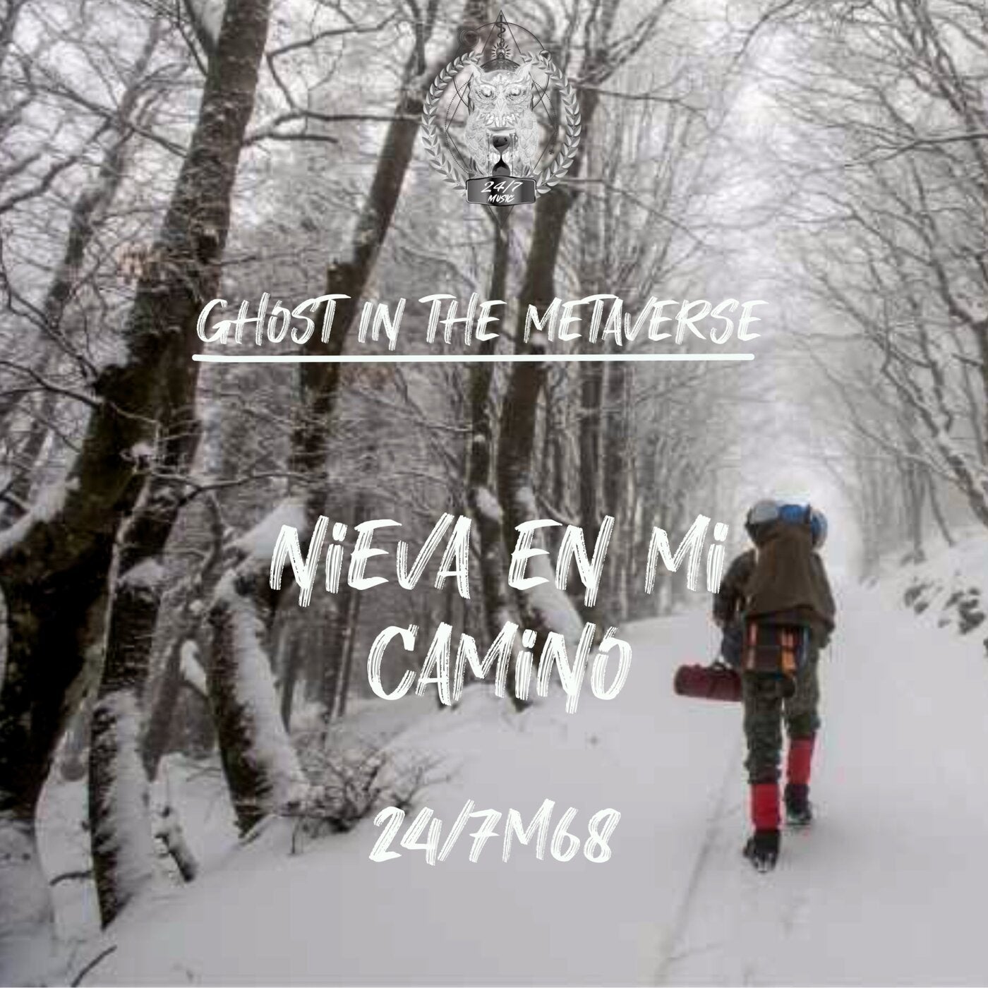 Cover art for Nieva En Mi Camino