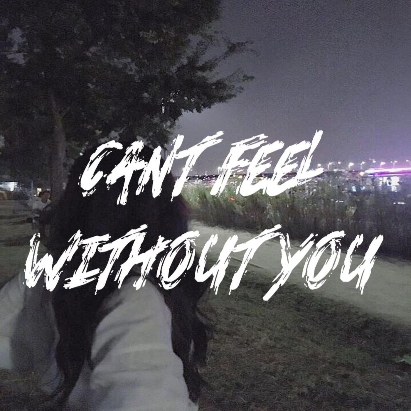 Can't Feel Without You