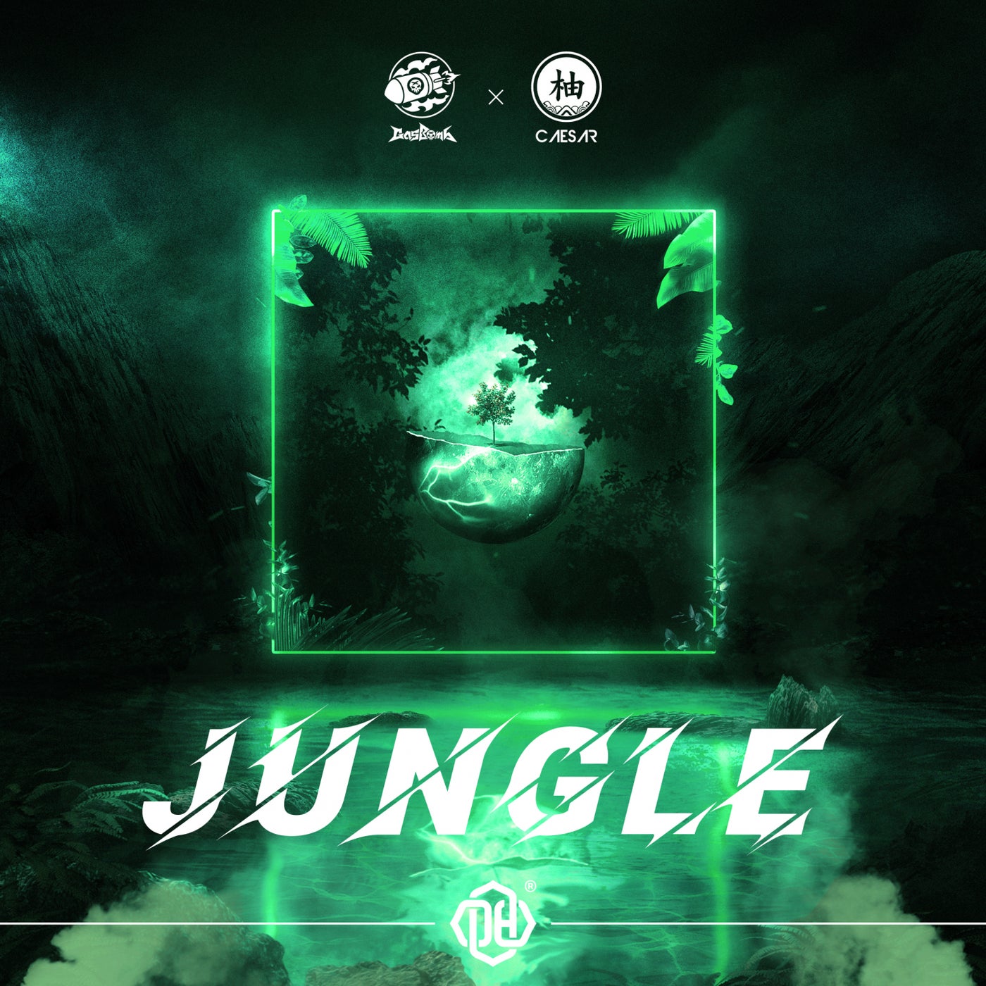 Jungle