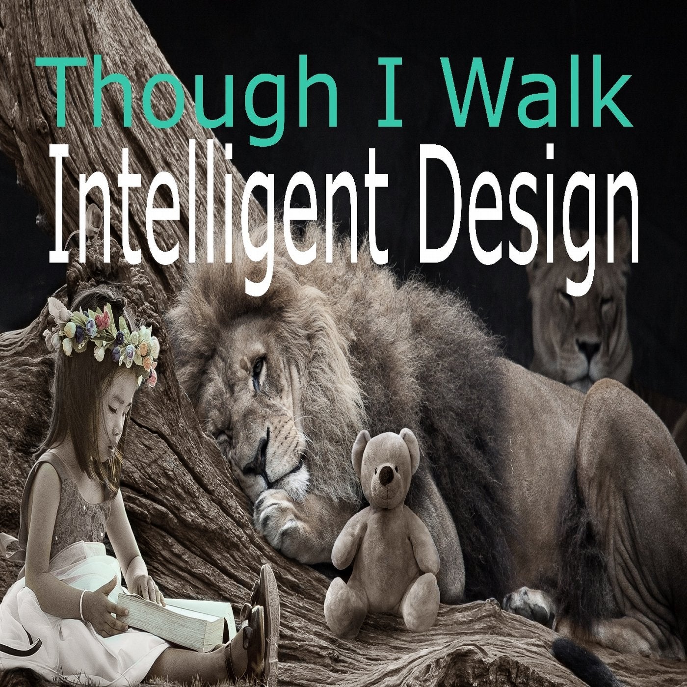 Though I Walk