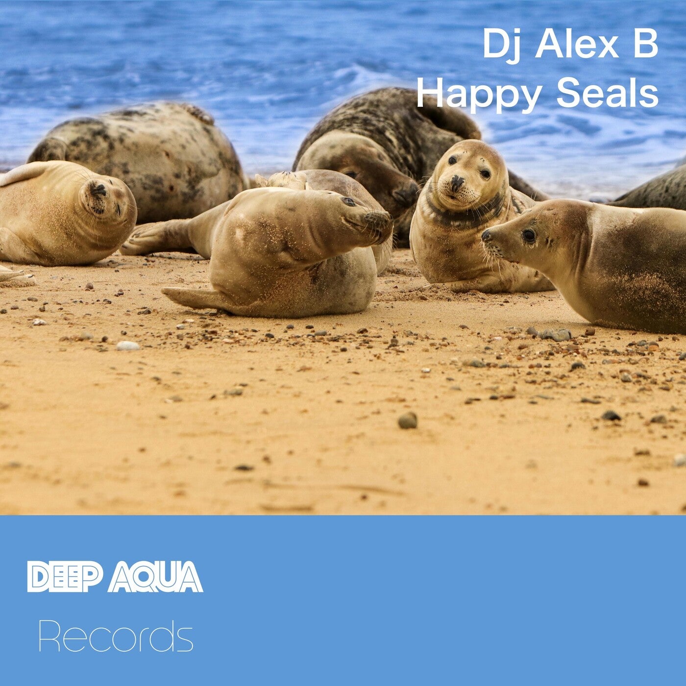 Happy Seals