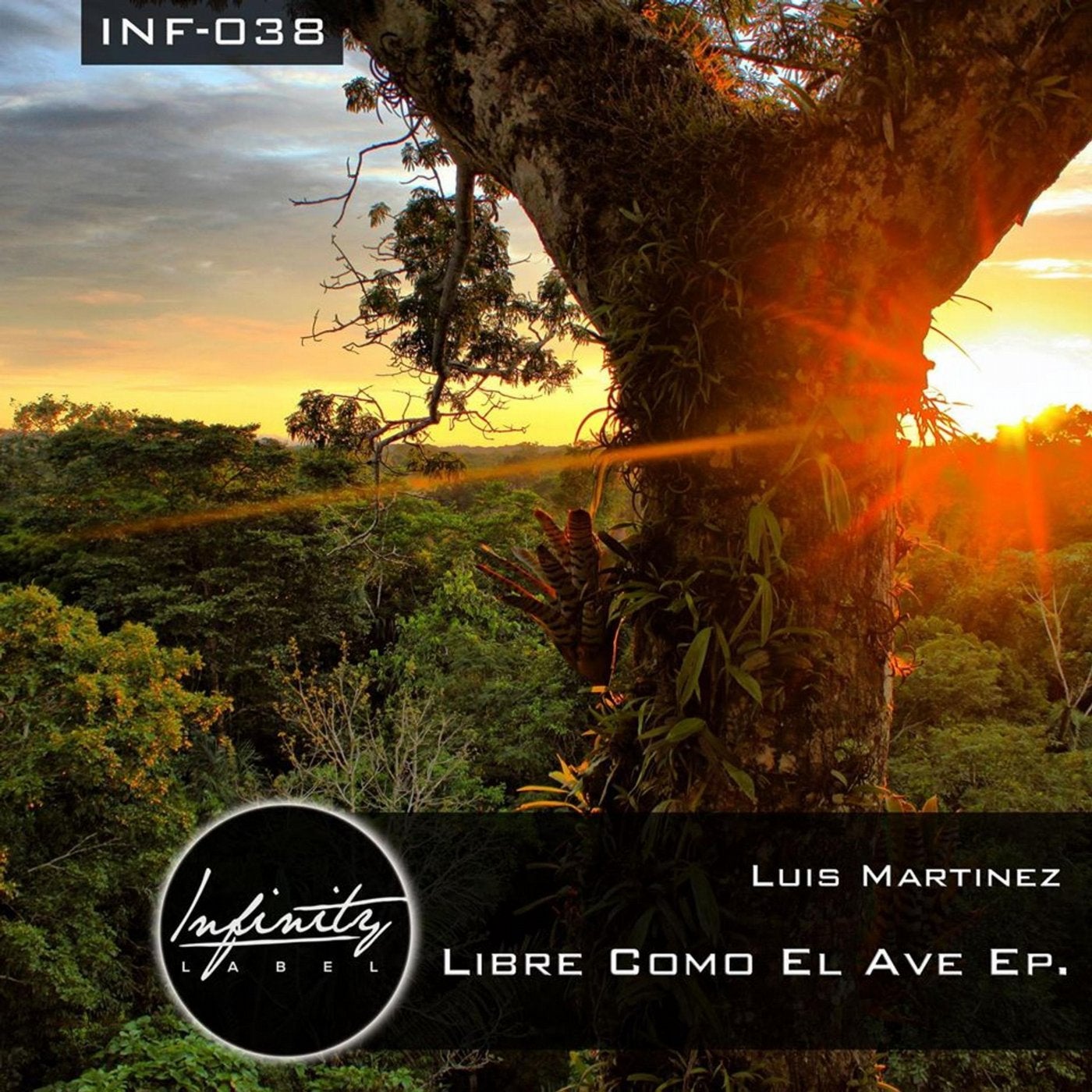 Libre Como El Ave