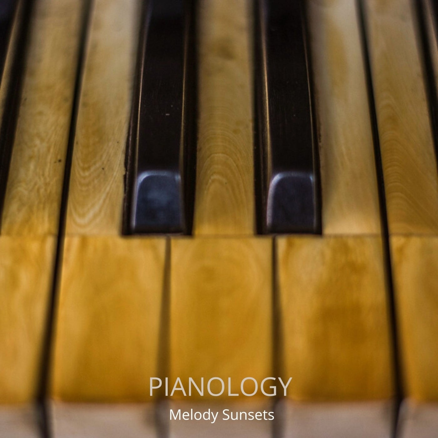 Pianology