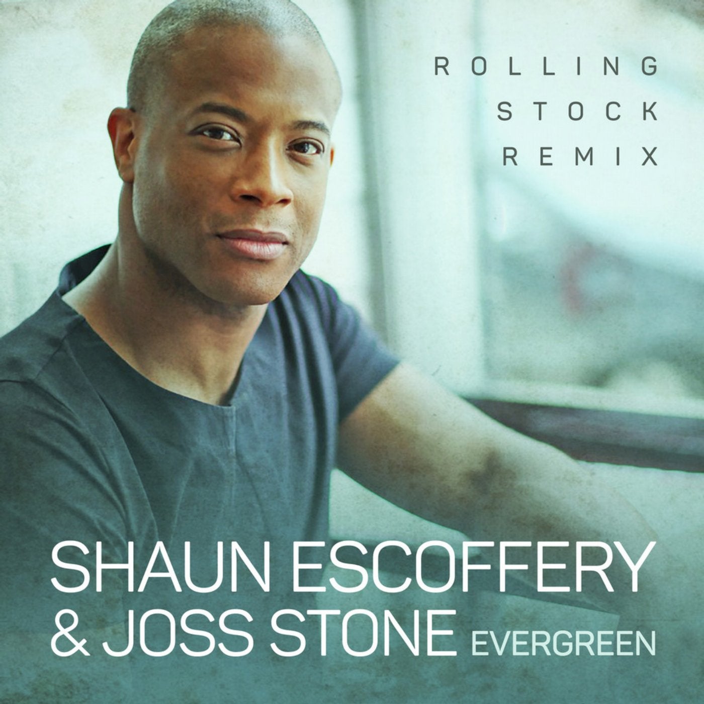 Evergreen (Rolling Stock Remix)
