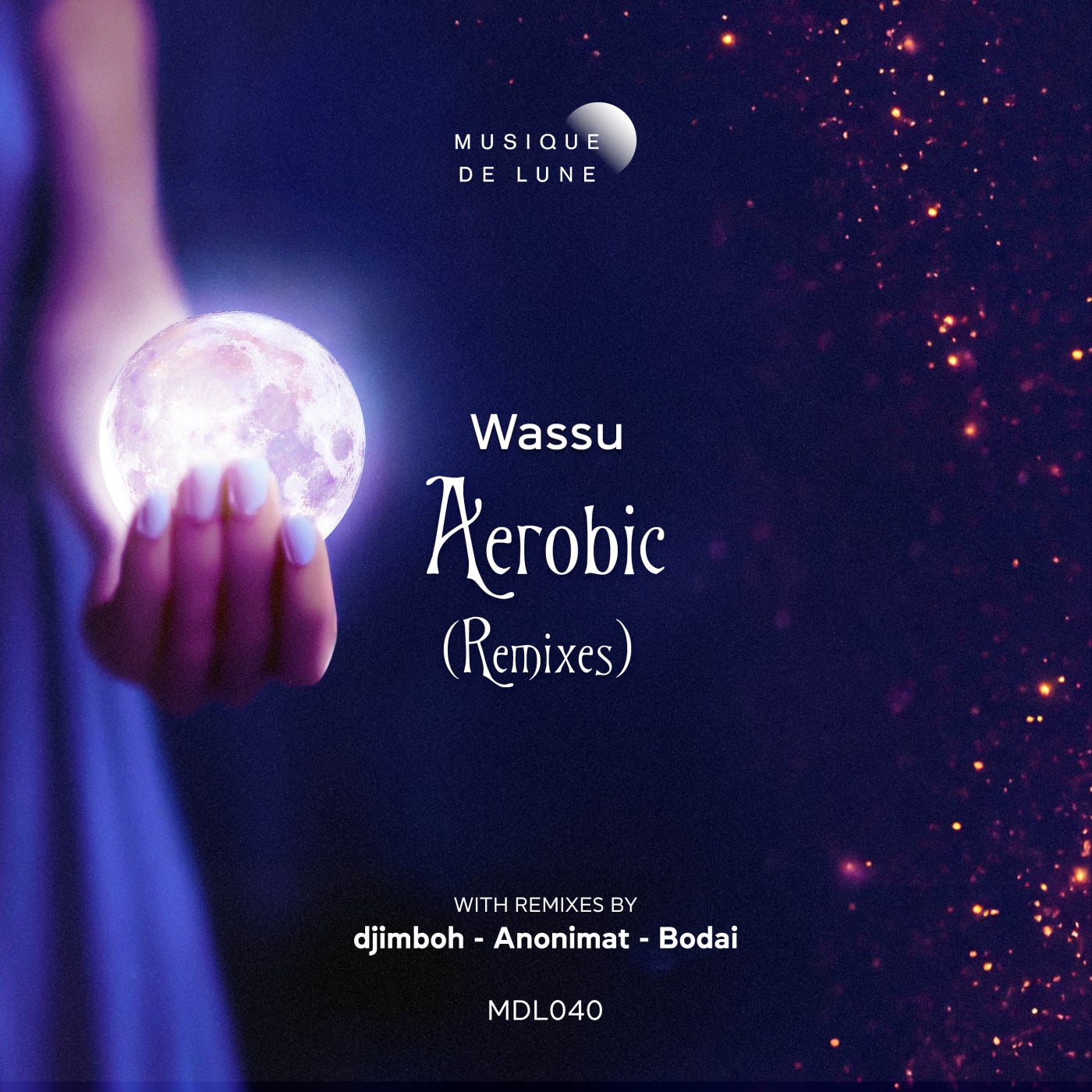Aerobic Remixes