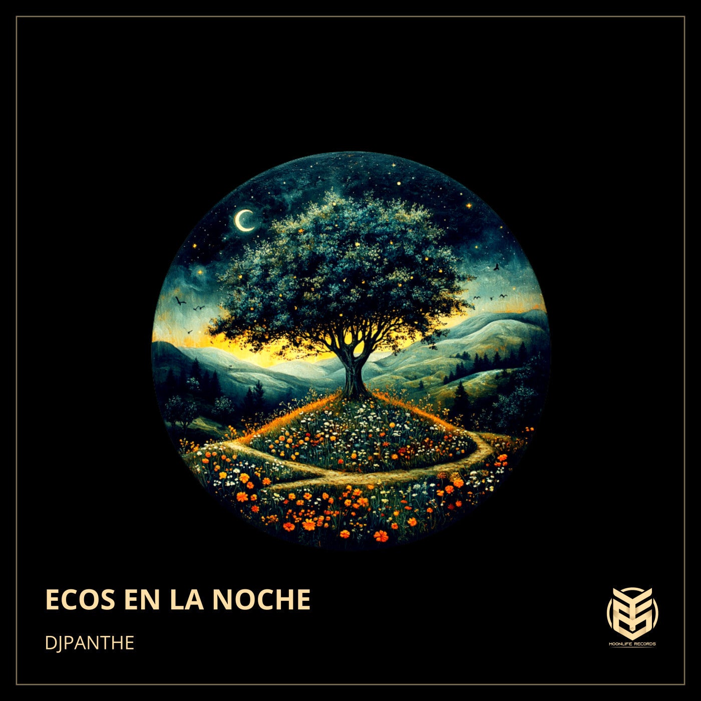 Ecos En La Noche