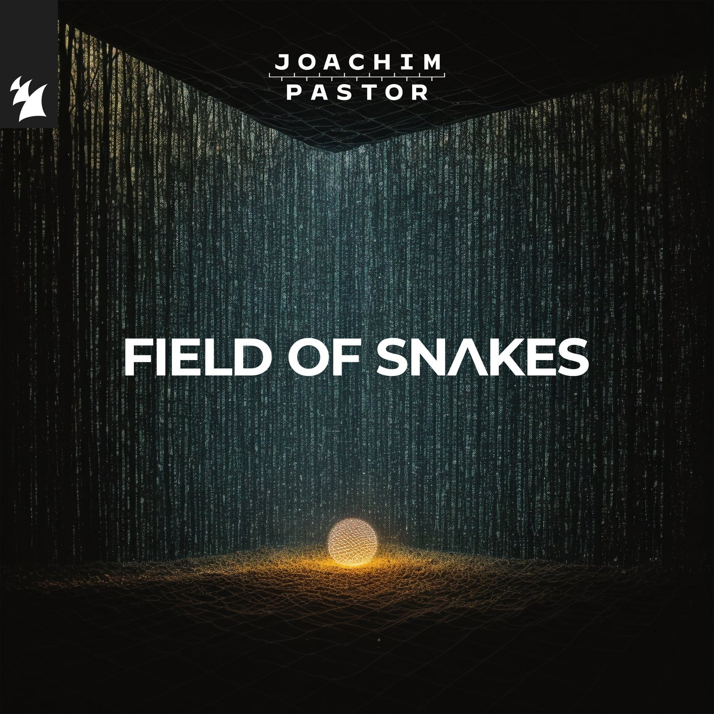 FIELD OF SNAKES