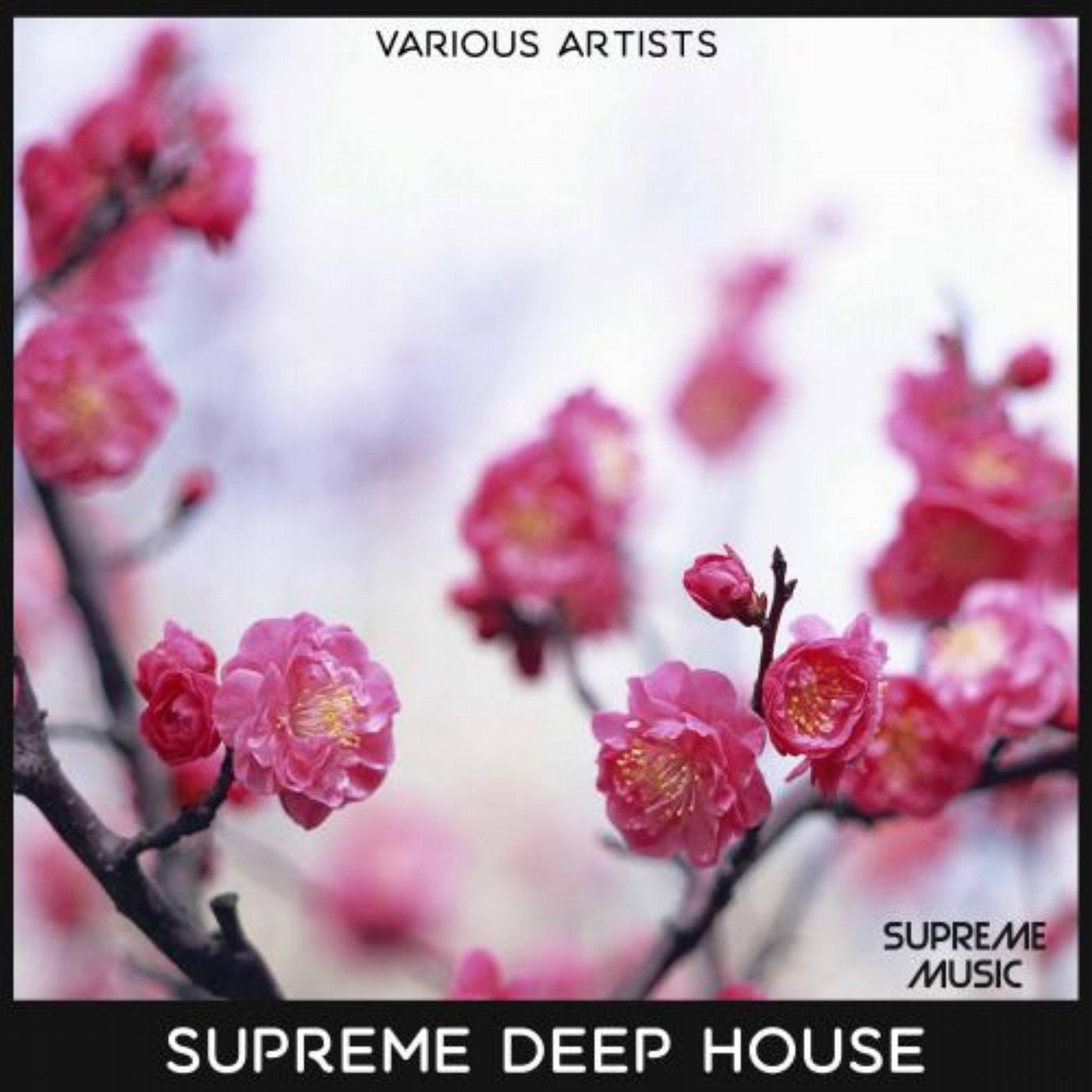 Supreme Deep House