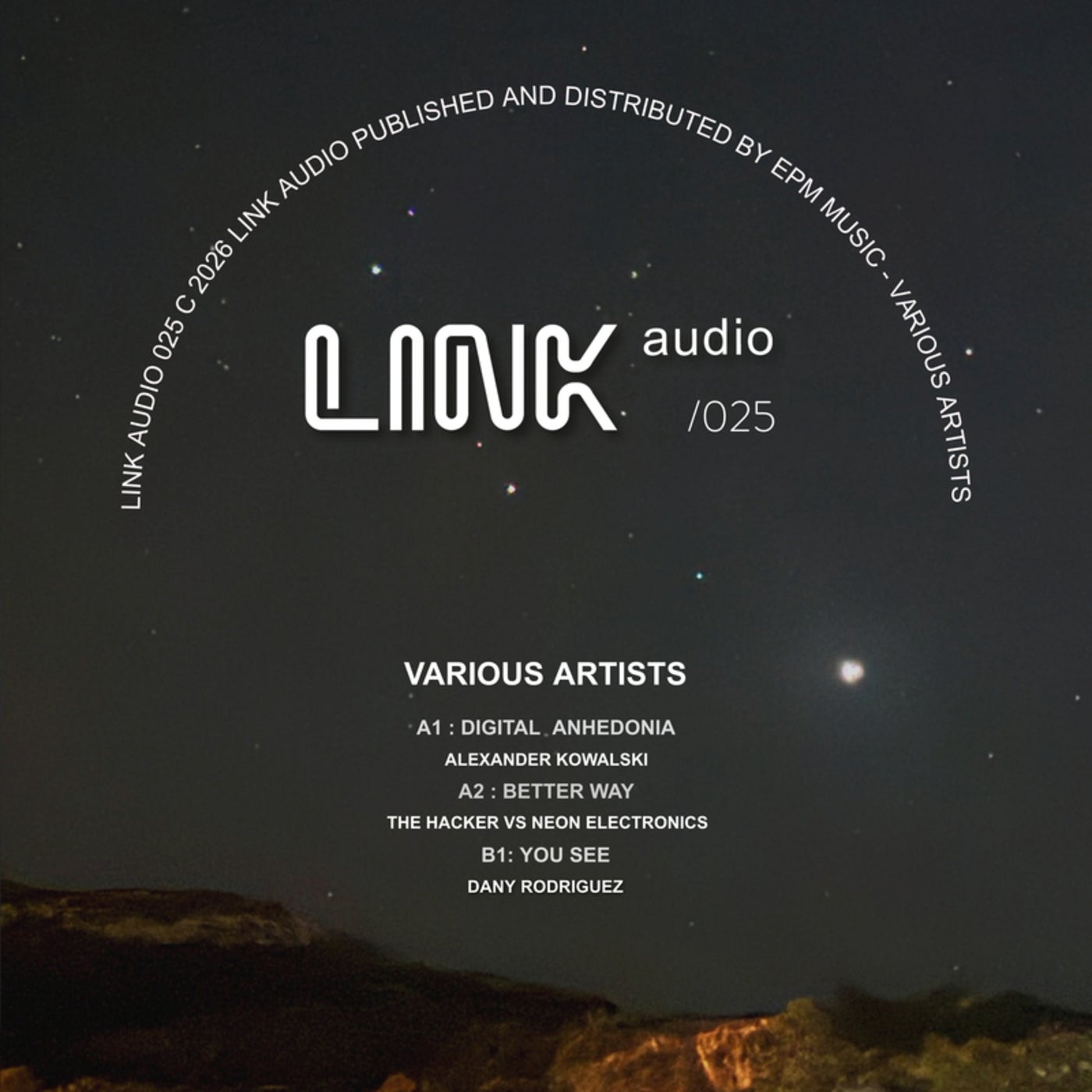 LINK Audio Various Artists Release