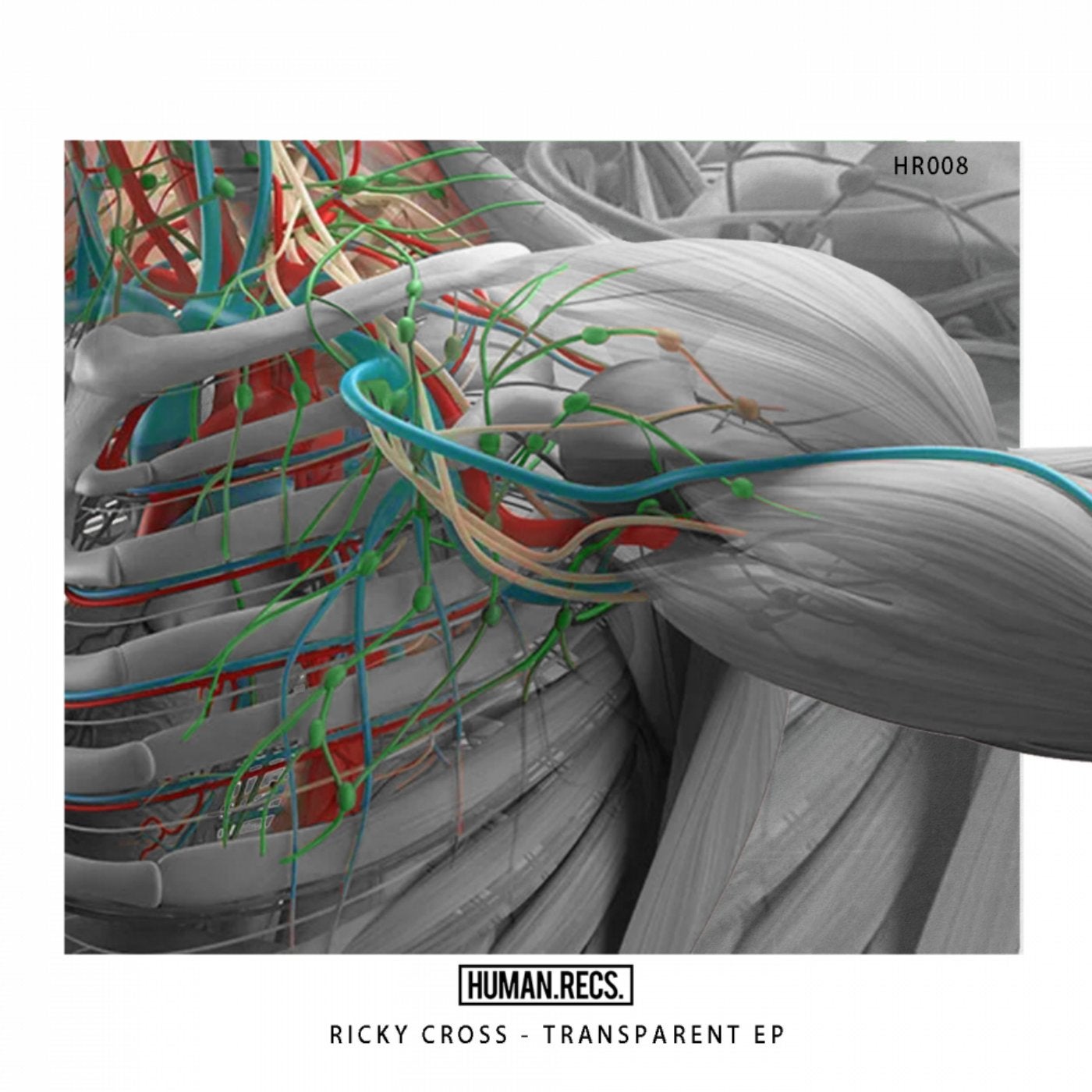Transparent EP