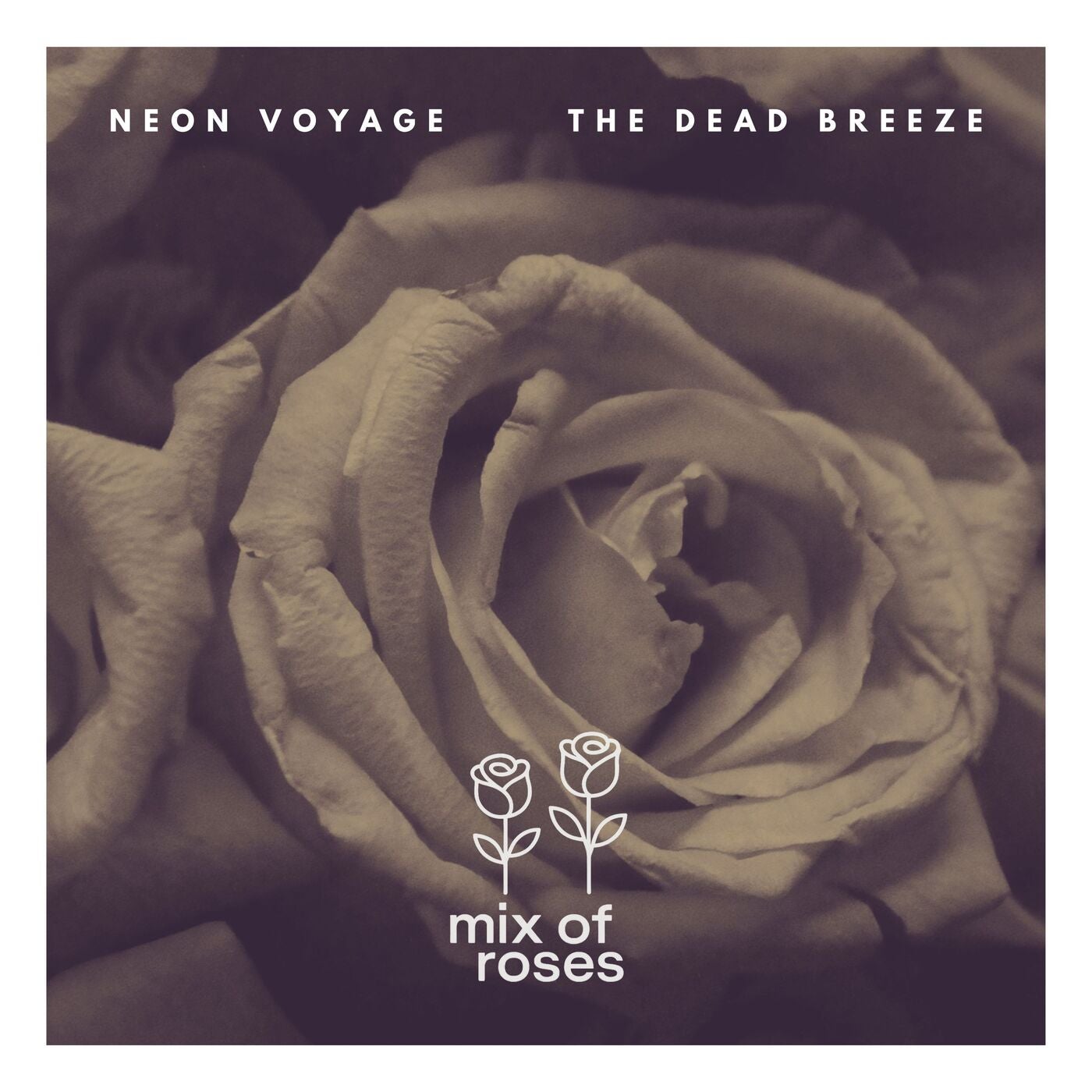 The Dead Breeze