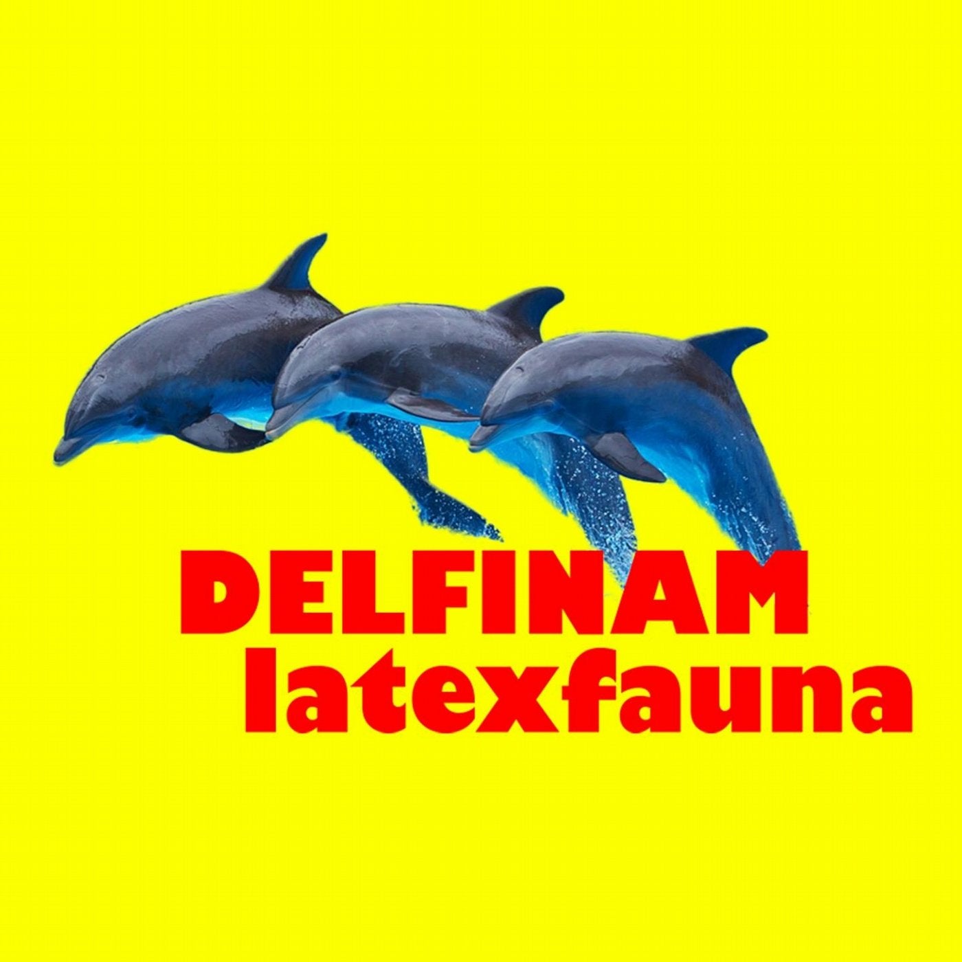 Delfinam